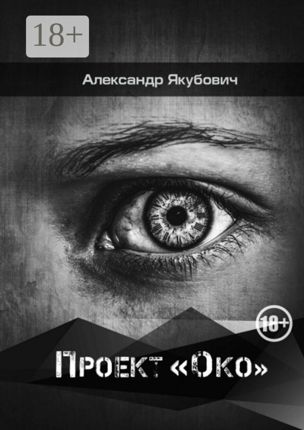Обложка книги «Проект «Око»»