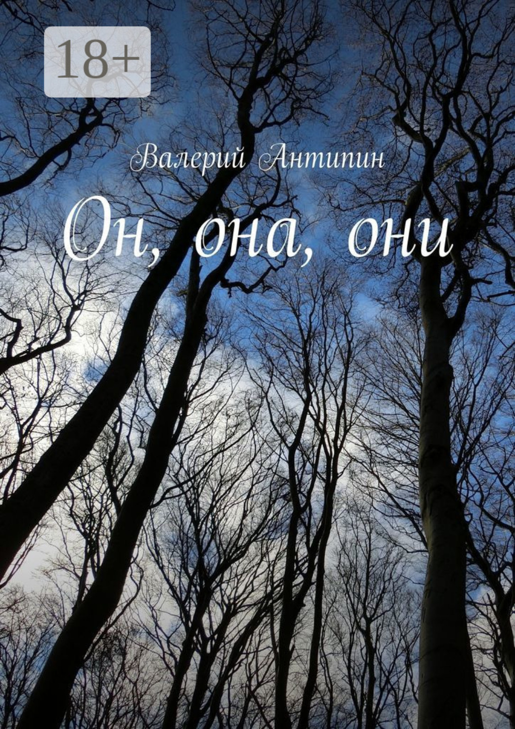 Обложка книги «Он, она, они»
