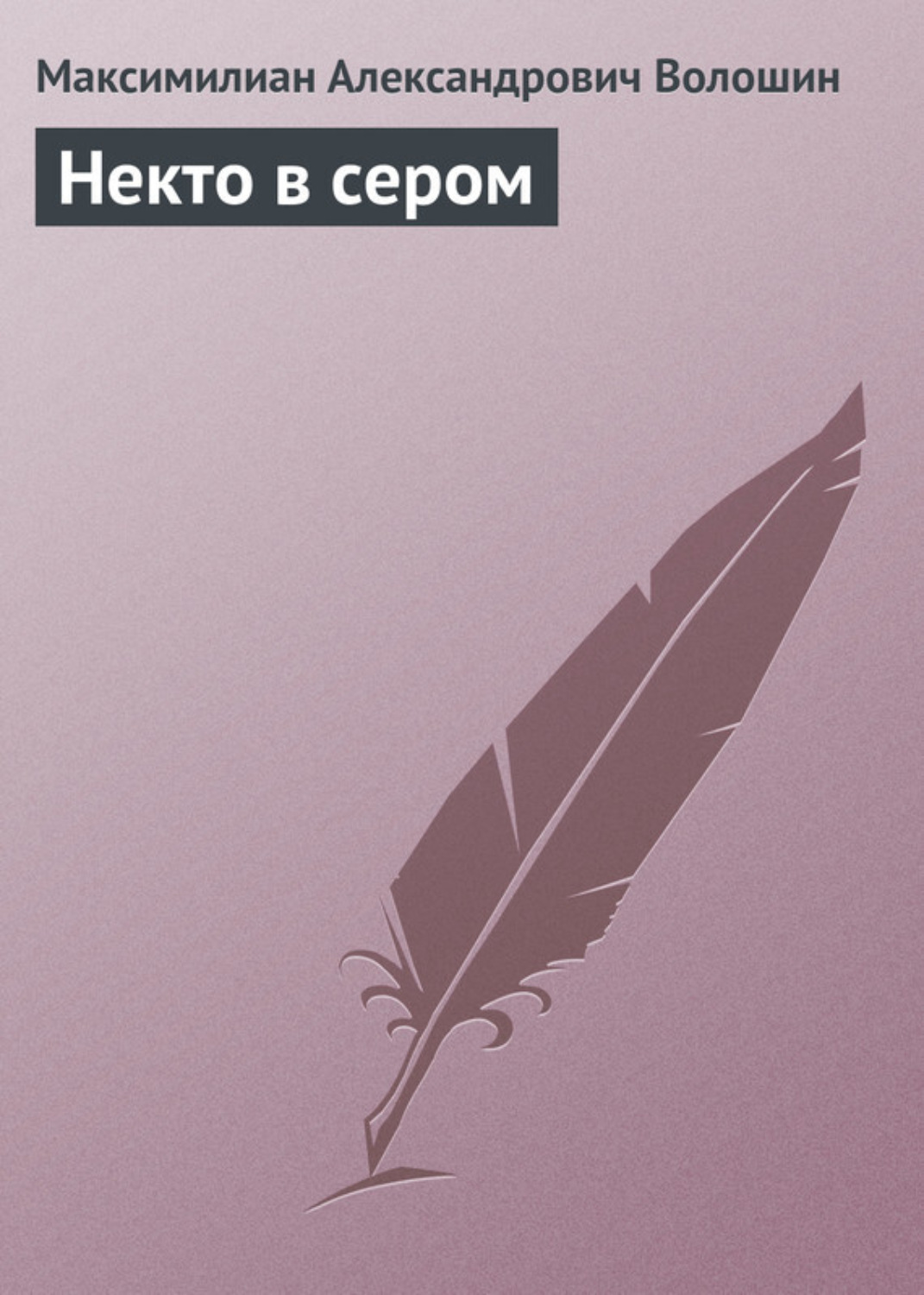 Обложка книги «Некто в сером»