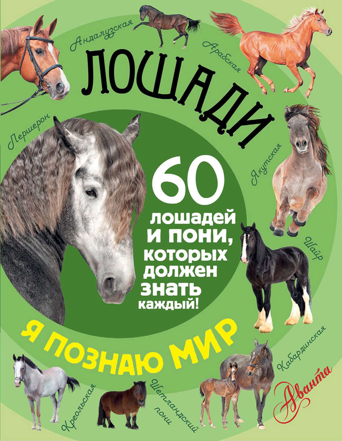Обложка книги «Лошади. 60 лошадей и пони, которых должен знать каждый!»