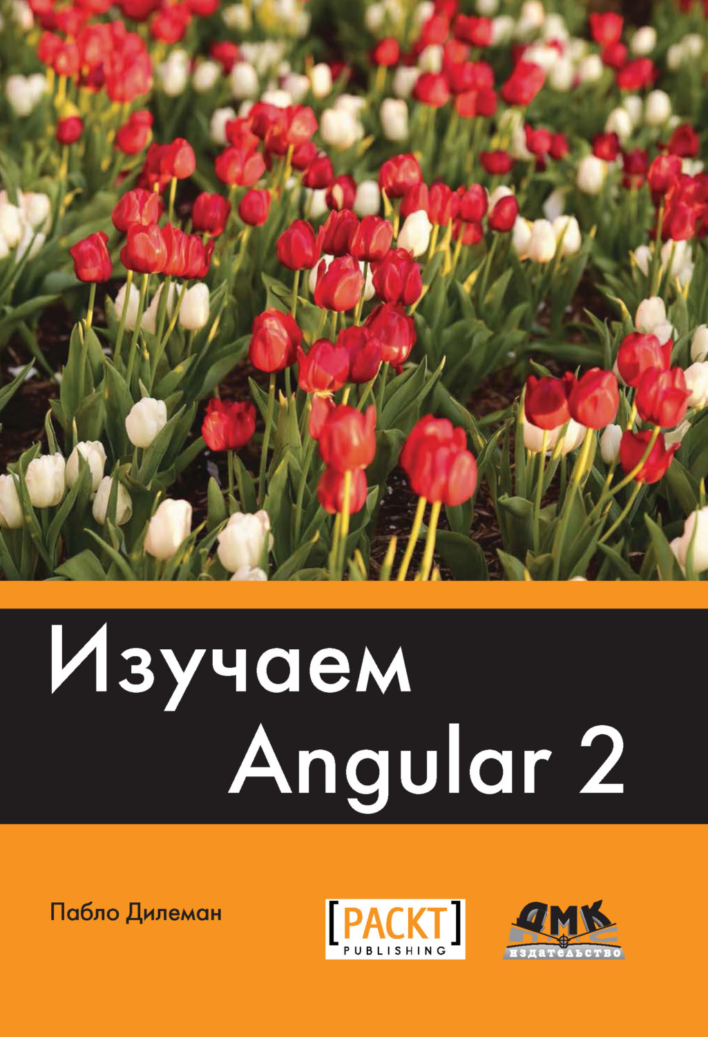 Обложка книги «Изучаем Angular 2»