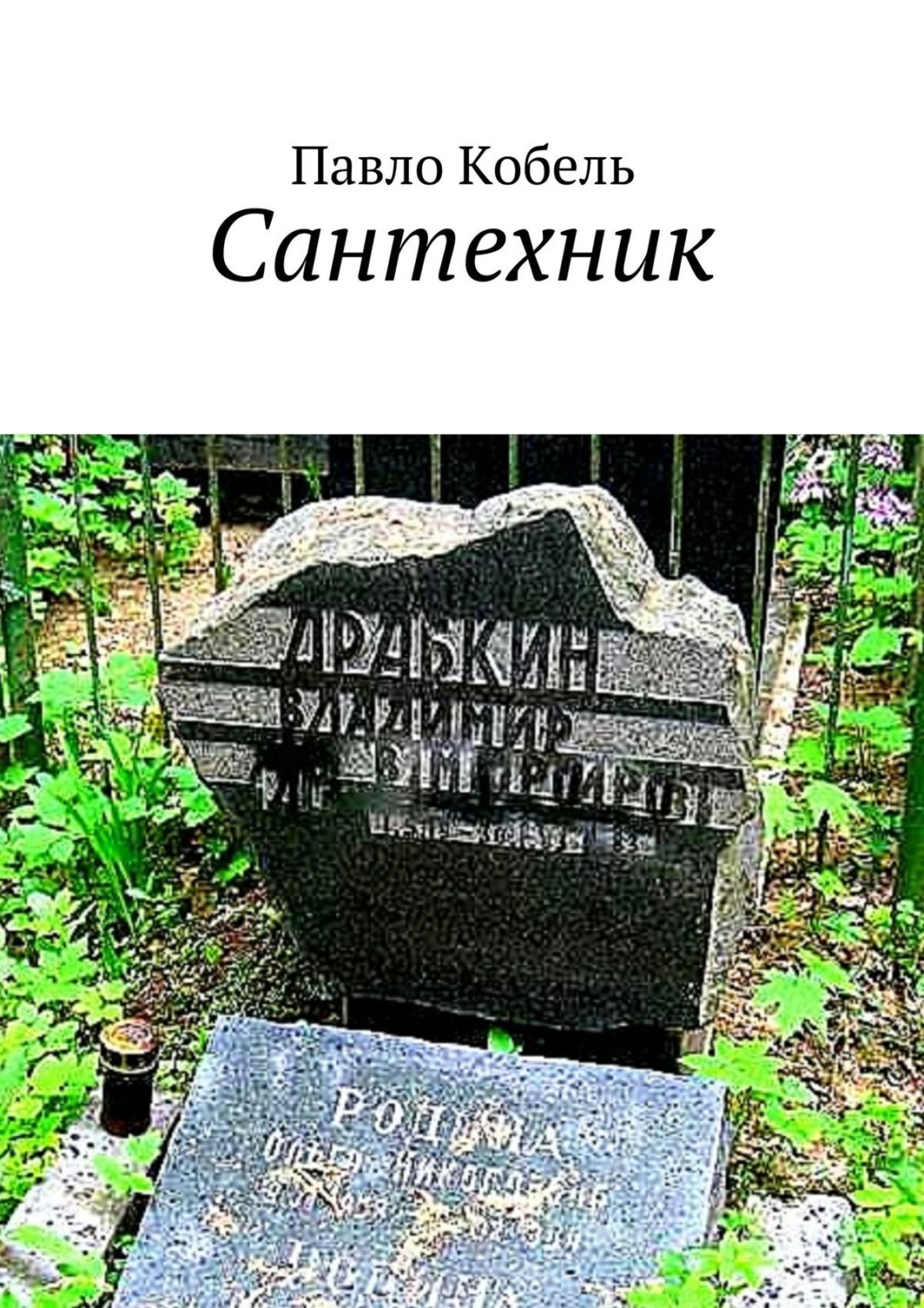Обложка книги «Сантехник»