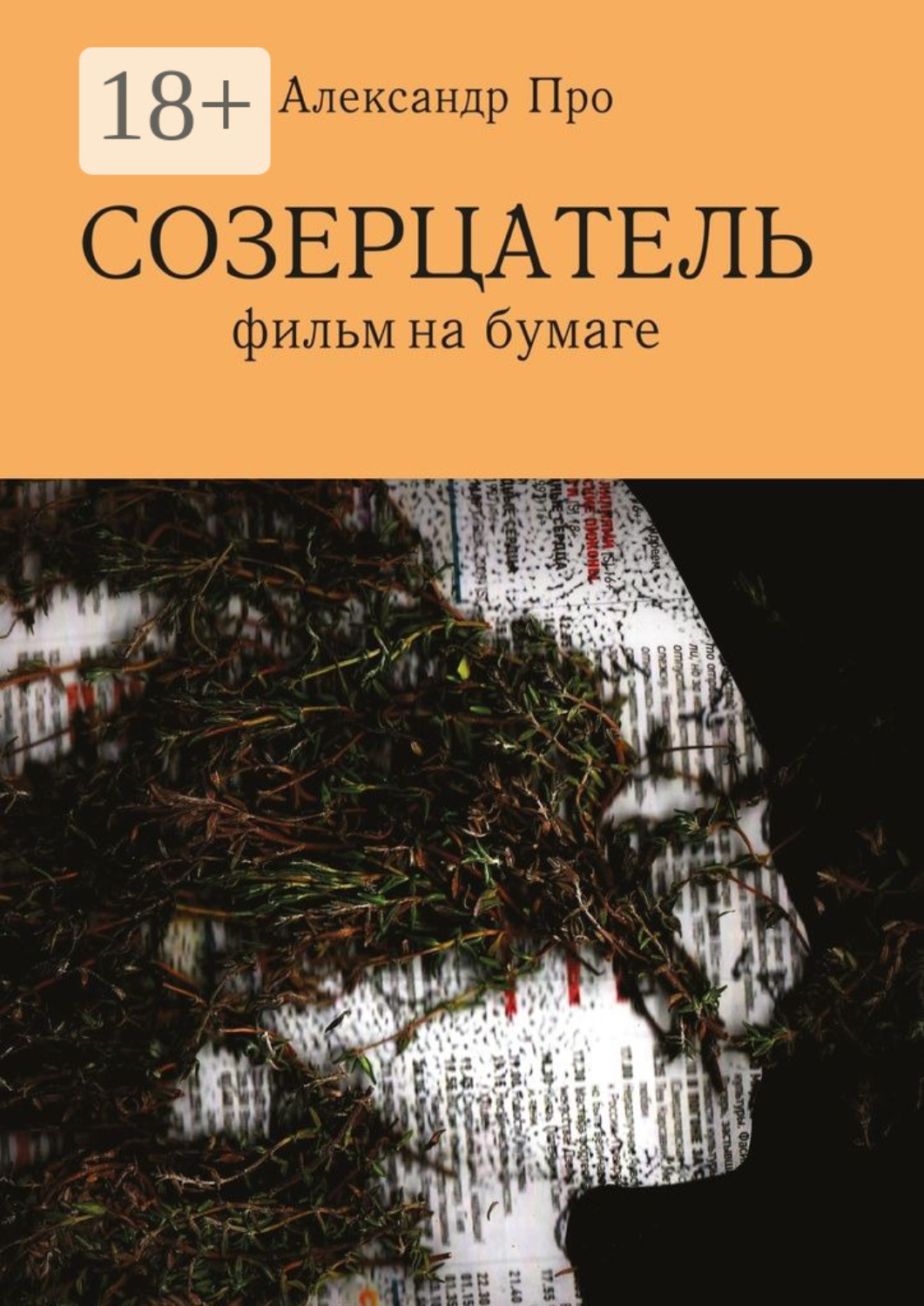 Обложка книги «Созерцатель. Фильм на бумаге»