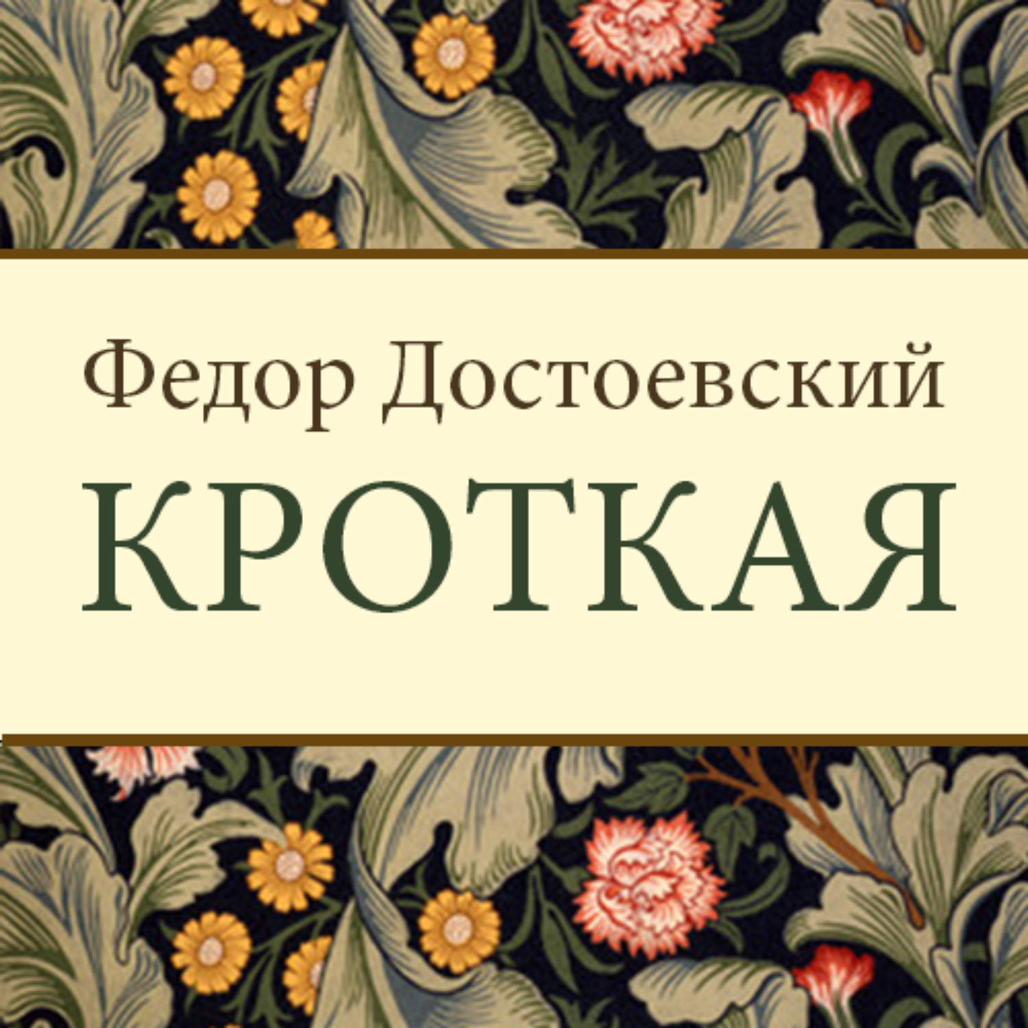 Обложка книги «Кроткая»