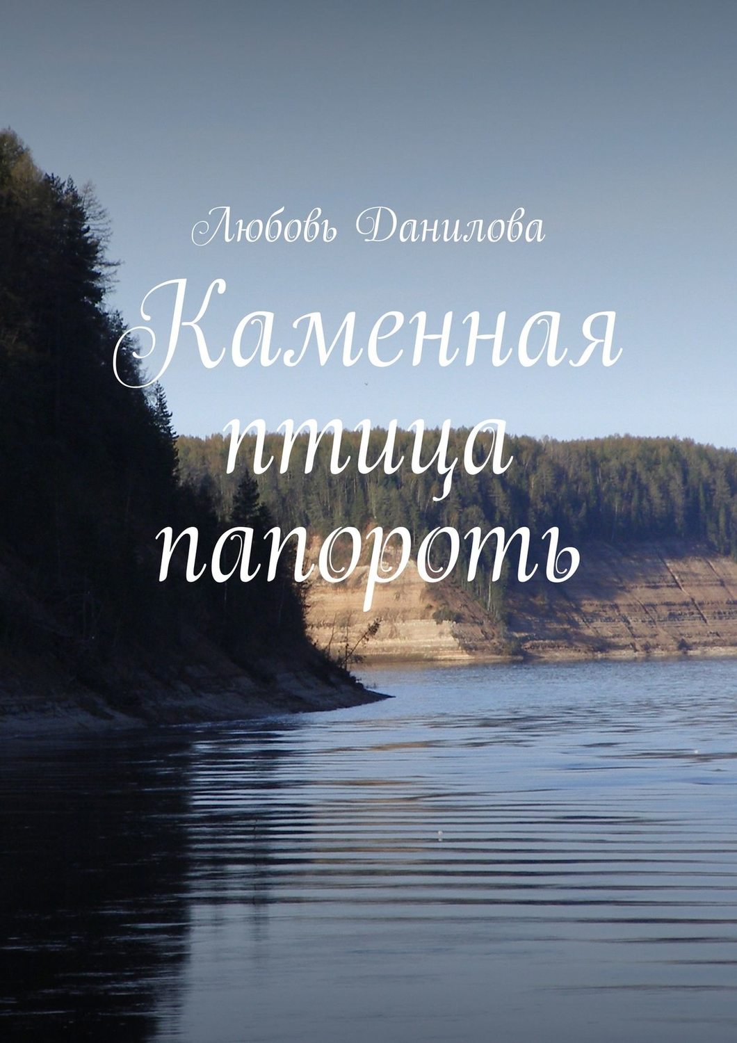 Обложка книги «Каменная птица папороть»