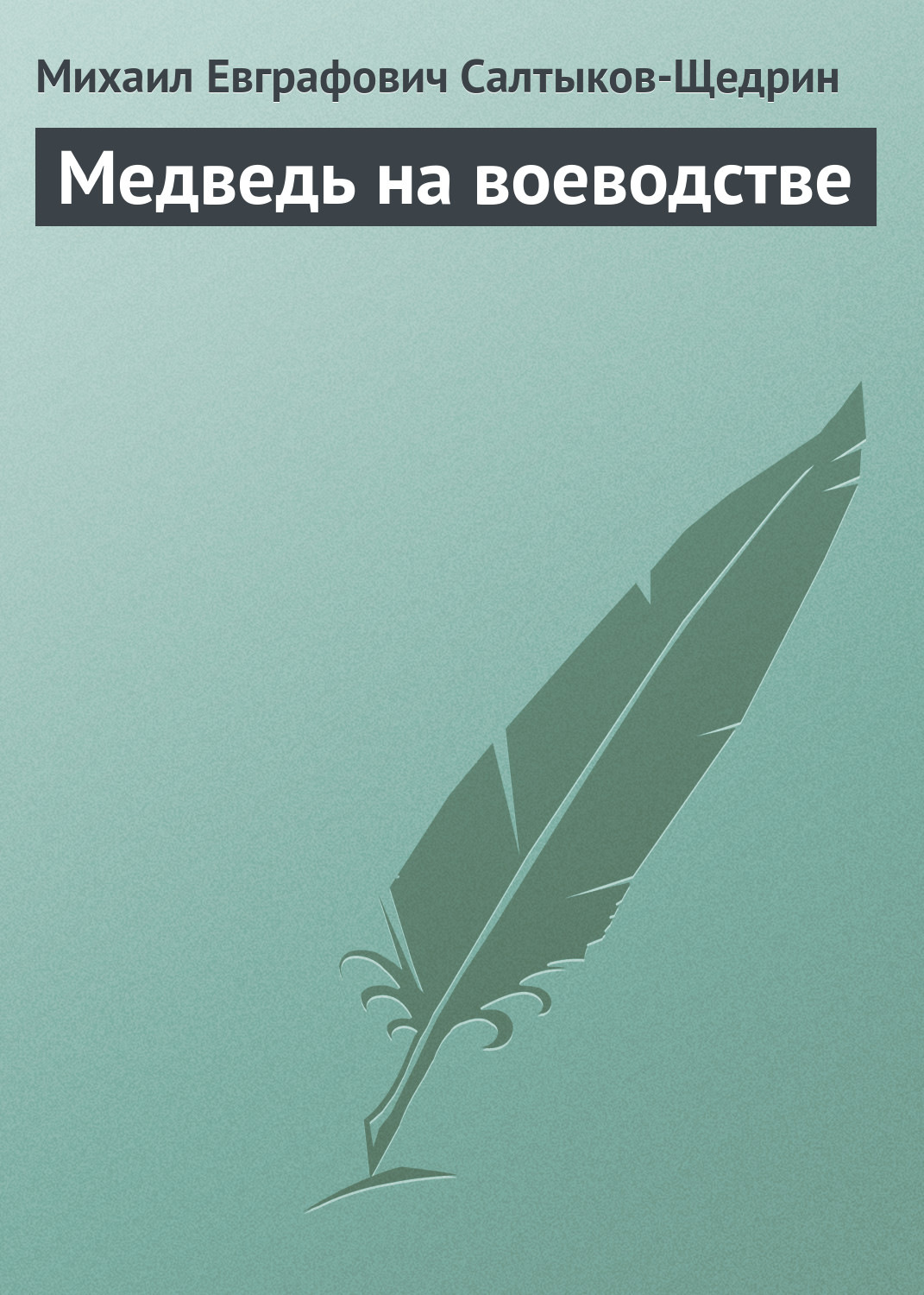 Обложка книги «Медведь на воеводстве»