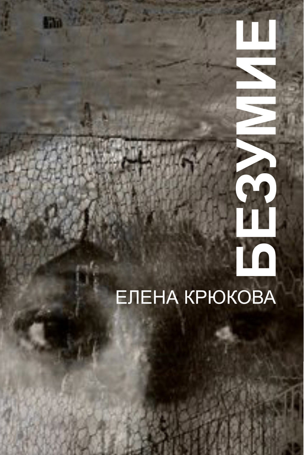 Обложка книги «Безумие»