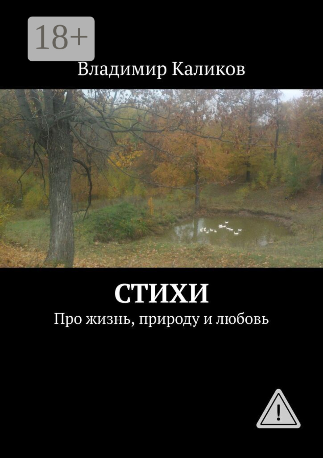 Обложка книги «Стихи. Про жизнь, природу и любовь»