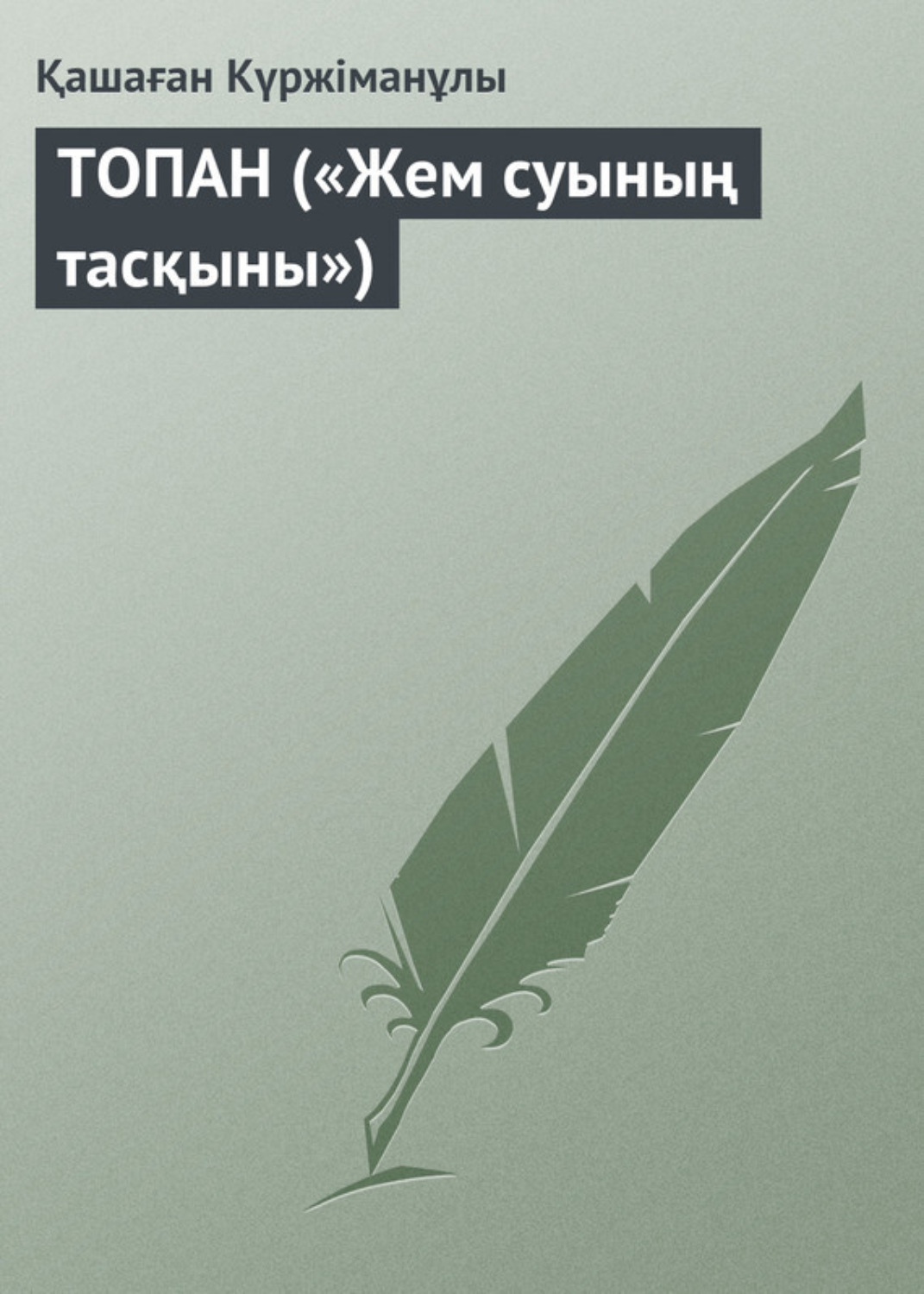 Обложка книги «ТОПАН («Жем суының тасқыны»)»