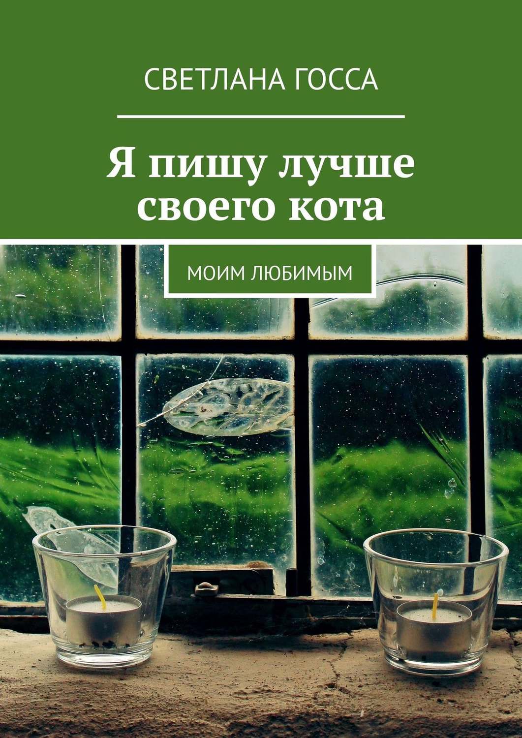 Обложка книги «Я пишу лучше своего кота. Моим любимым»