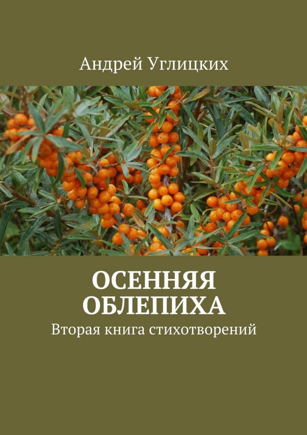 Обложка книги «Осенняя облепиха. Вторая книга стихотворений»