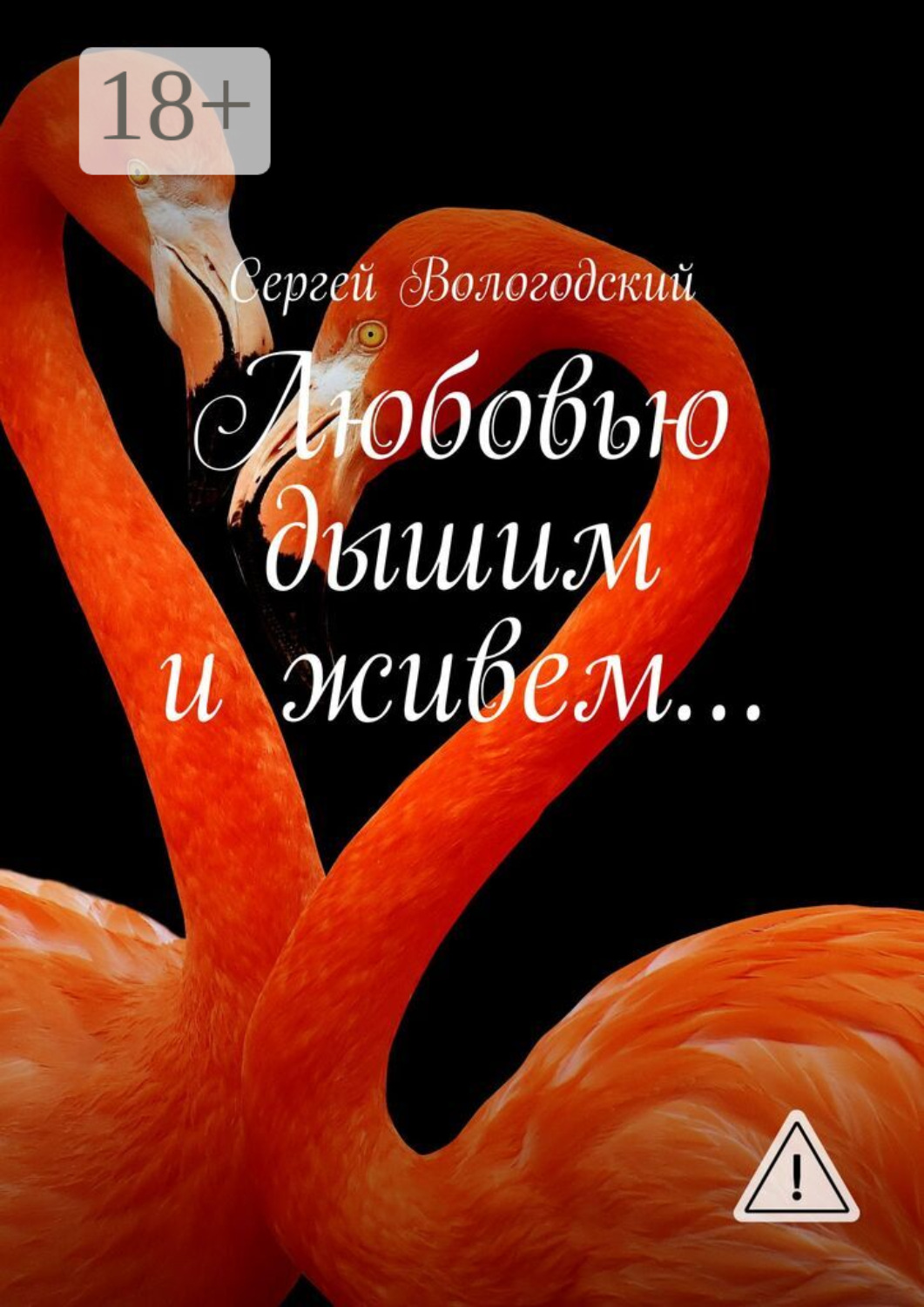 Обложка книги «Любовью дышим и живем…»