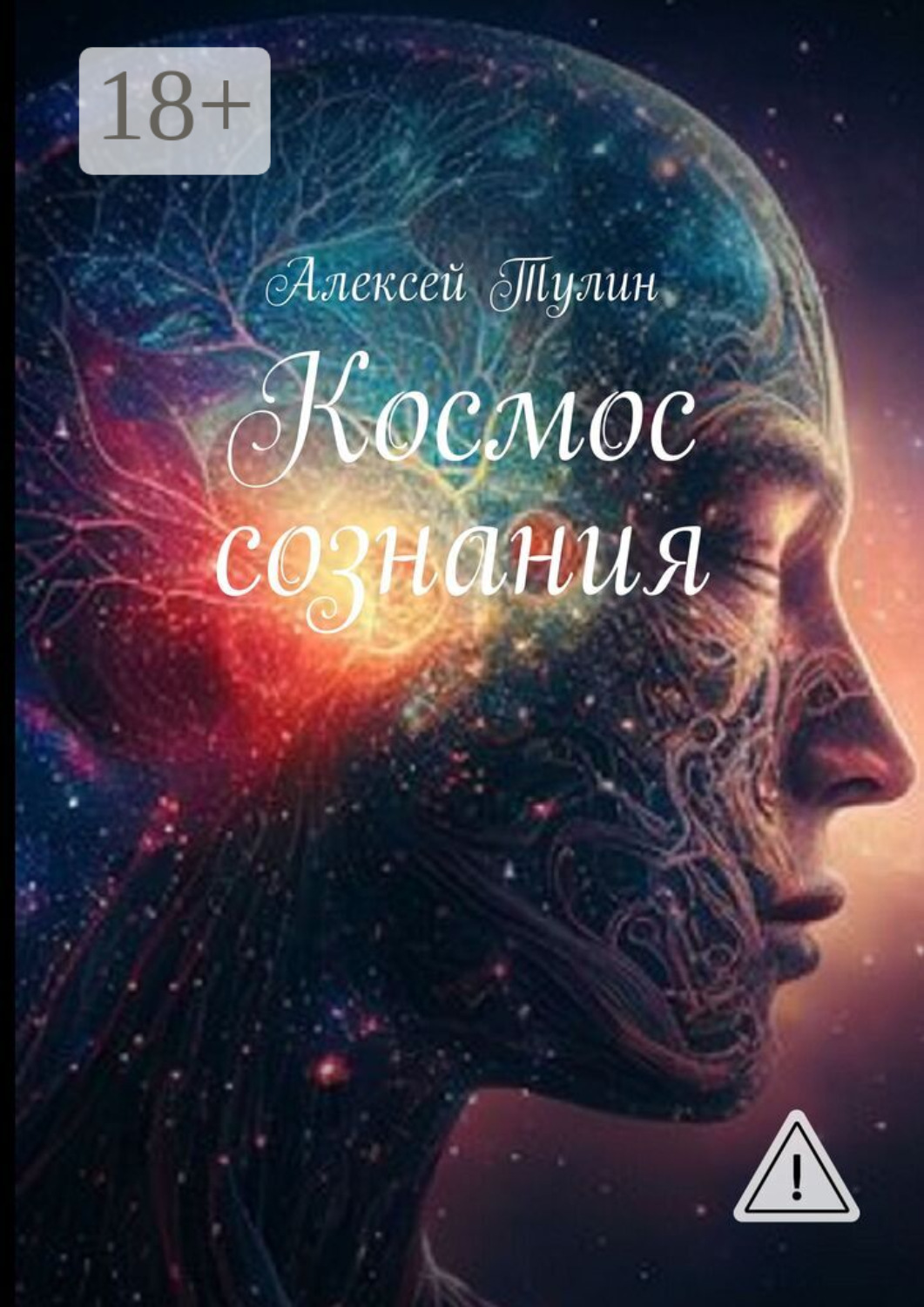 Обложка книги «Космос сознания»