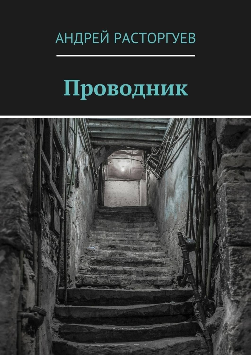 Обложка книги «Проводник»
