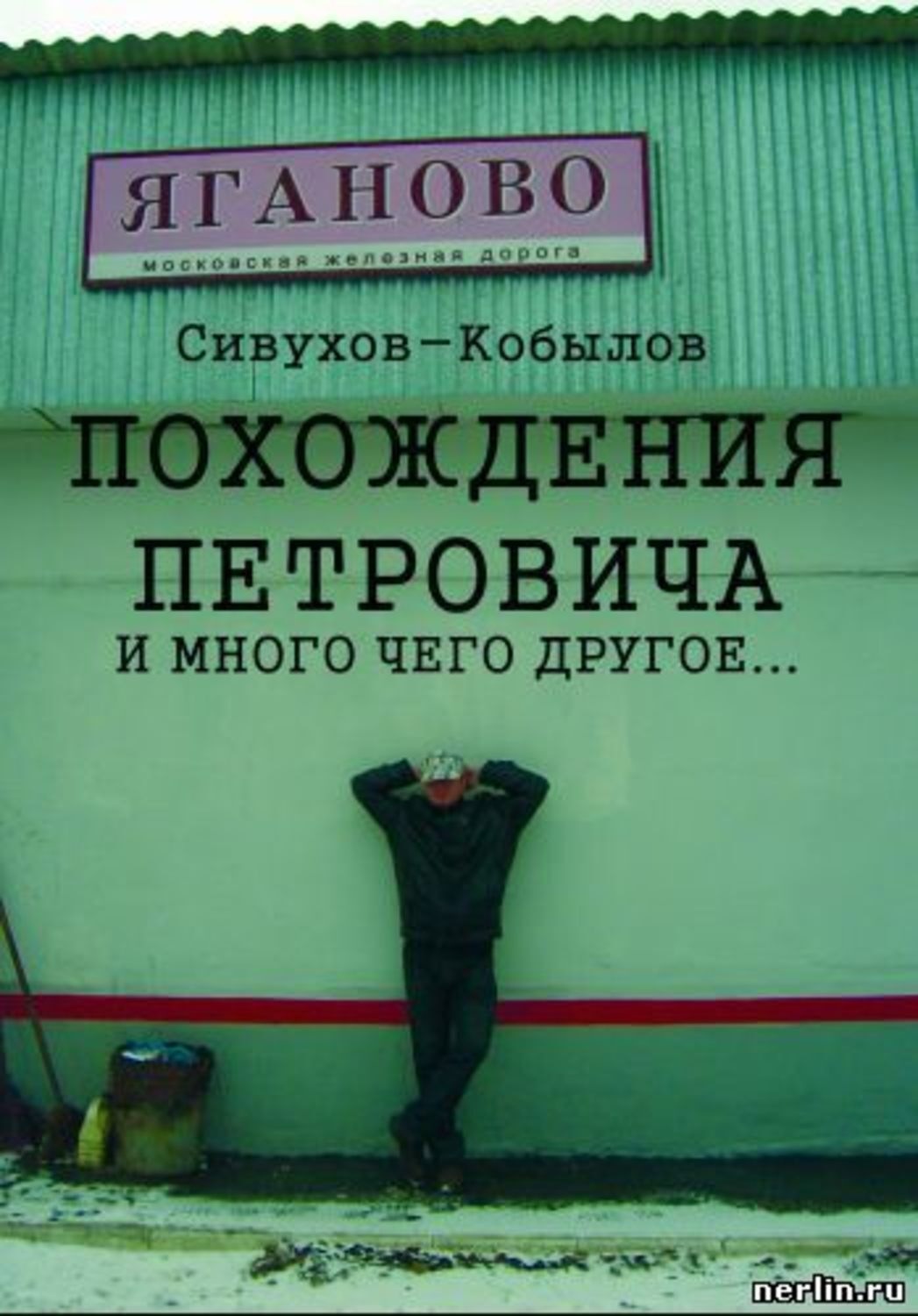 Обложка книги «ПОХОЖДЕНИЯ ПЕТРОВИЧА и много чего другое…»