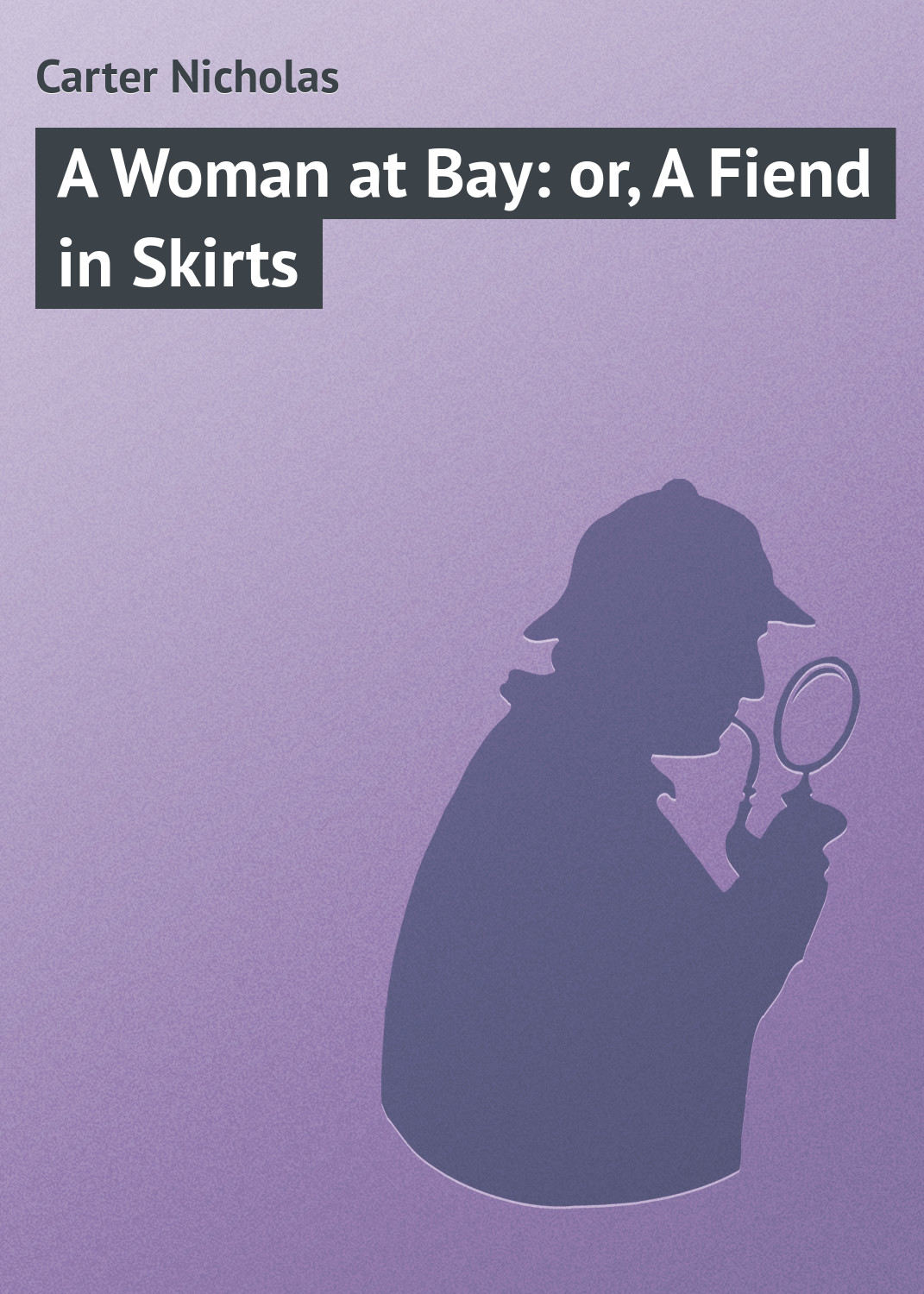 Обложка книги «A Woman at Bay: or, A Fiend in Skirts»