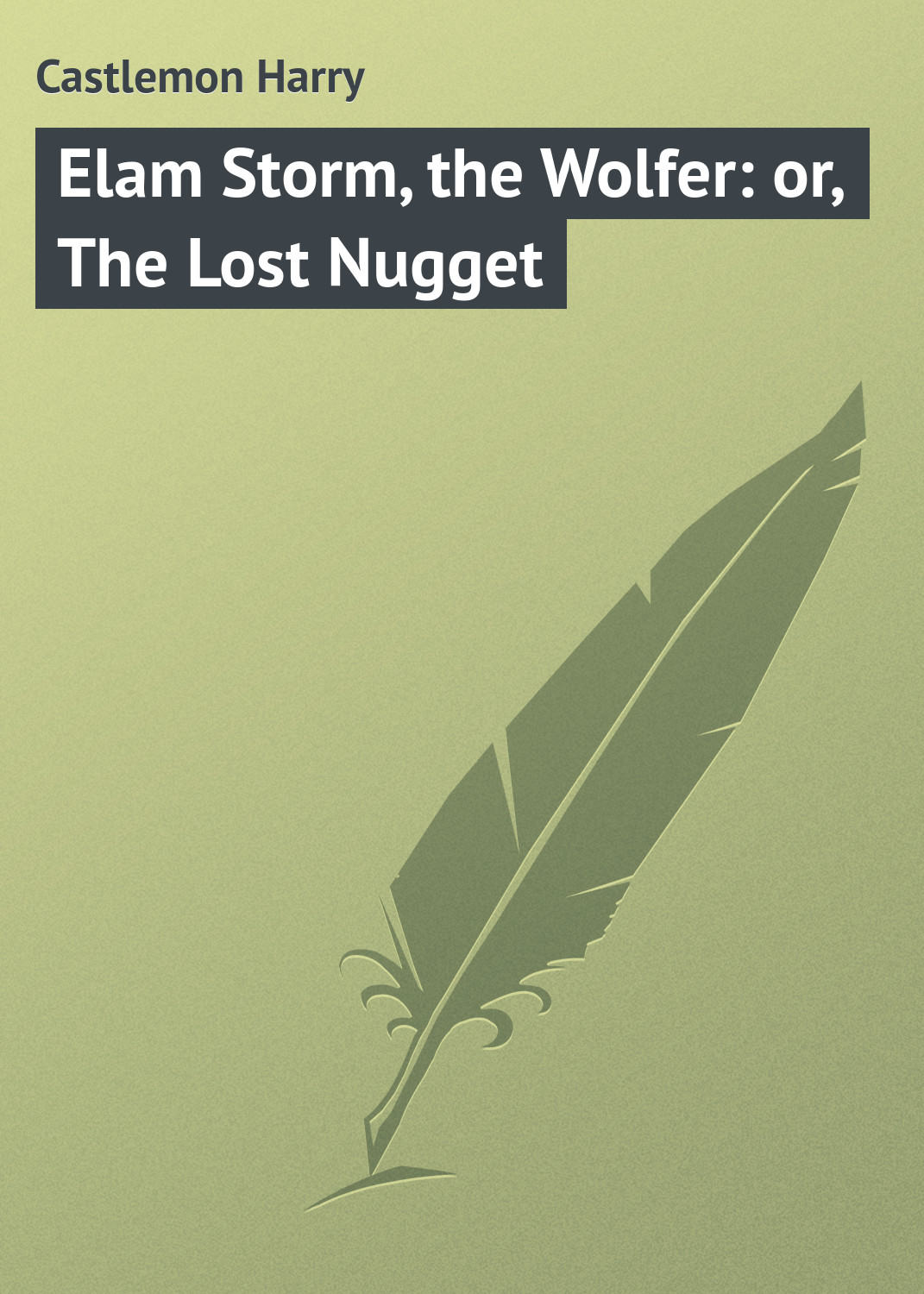 Обложка книги «Elam Storm, the Wolfer: or, The Lost Nugget»