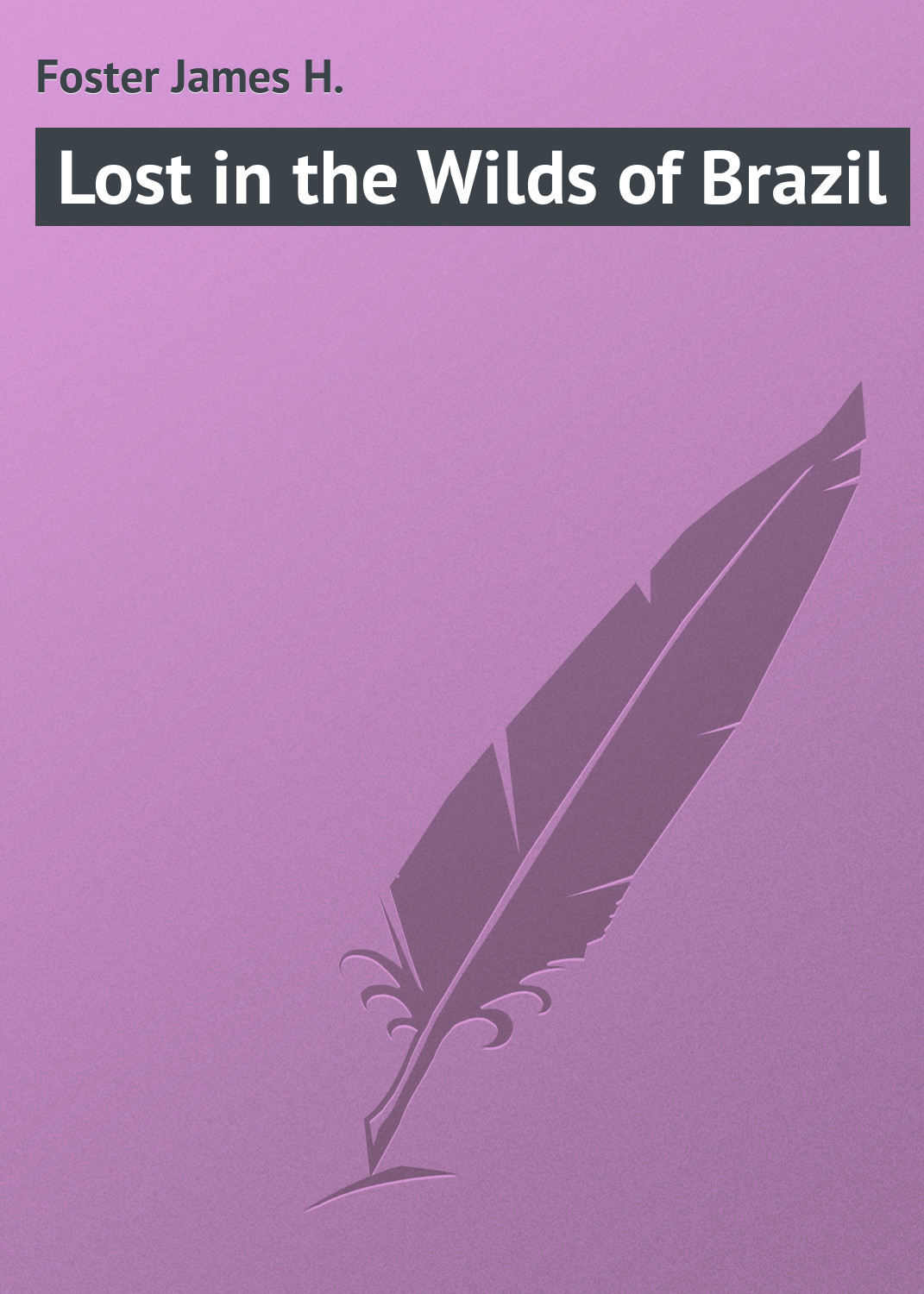 Обложка книги «Lost in the Wilds of Brazil»