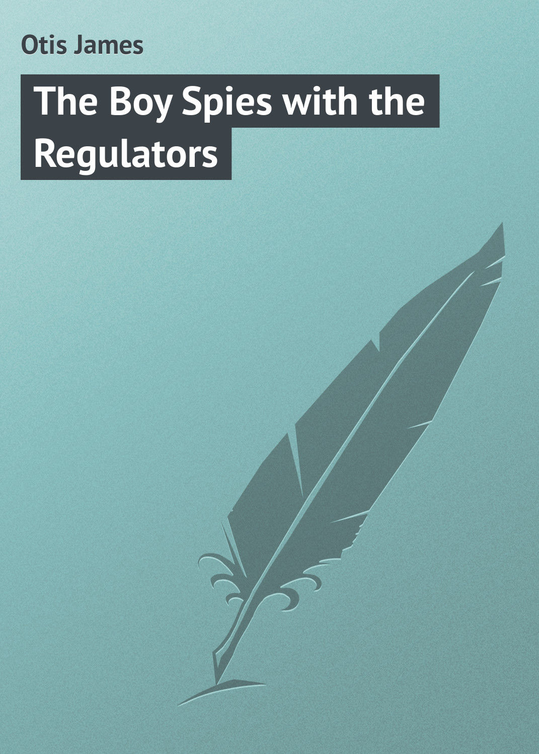 Обложка книги «The Boy Spies with the Regulators»