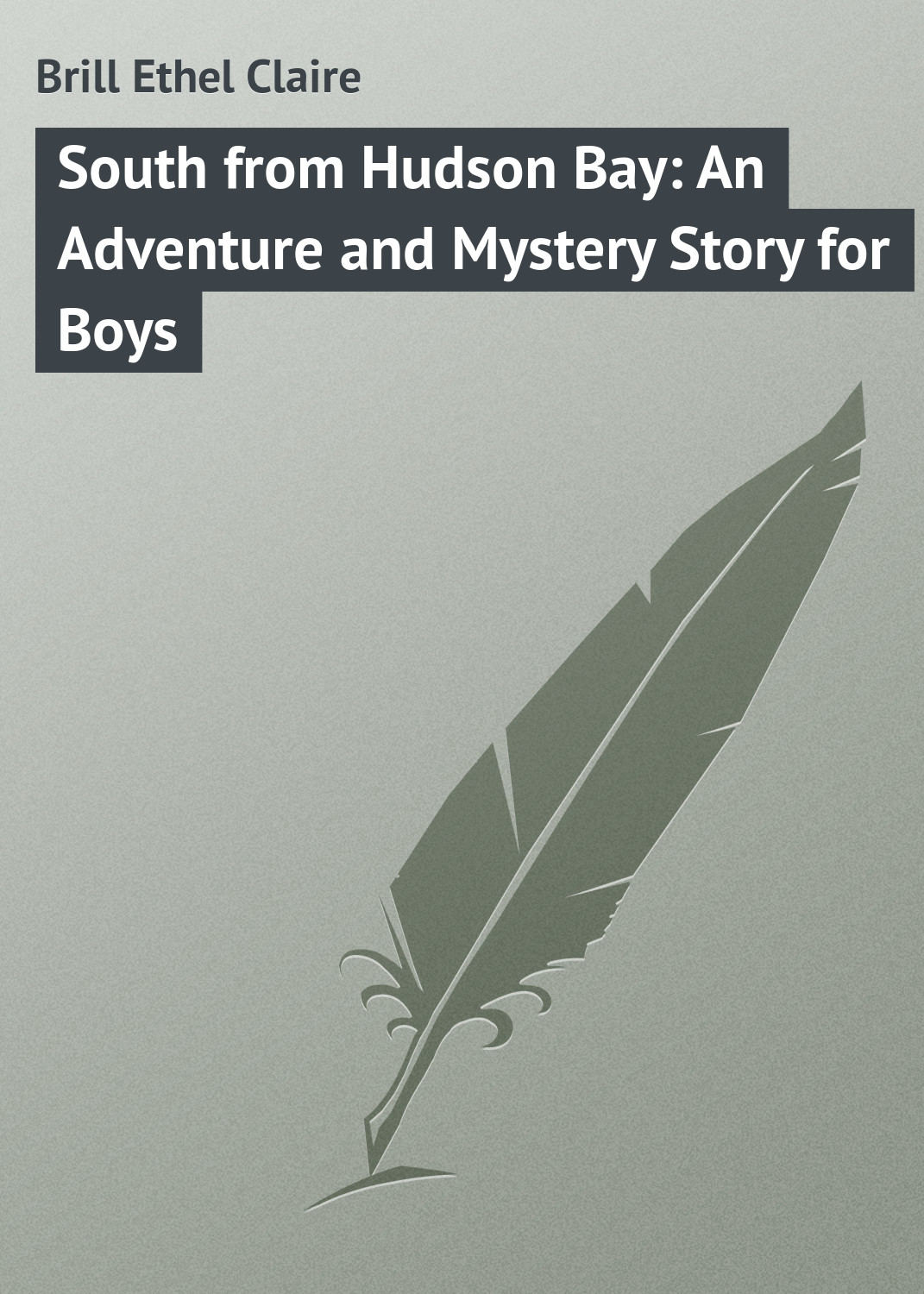Обложка книги «South from Hudson Bay: An Adventure and Mystery Story for Boys»