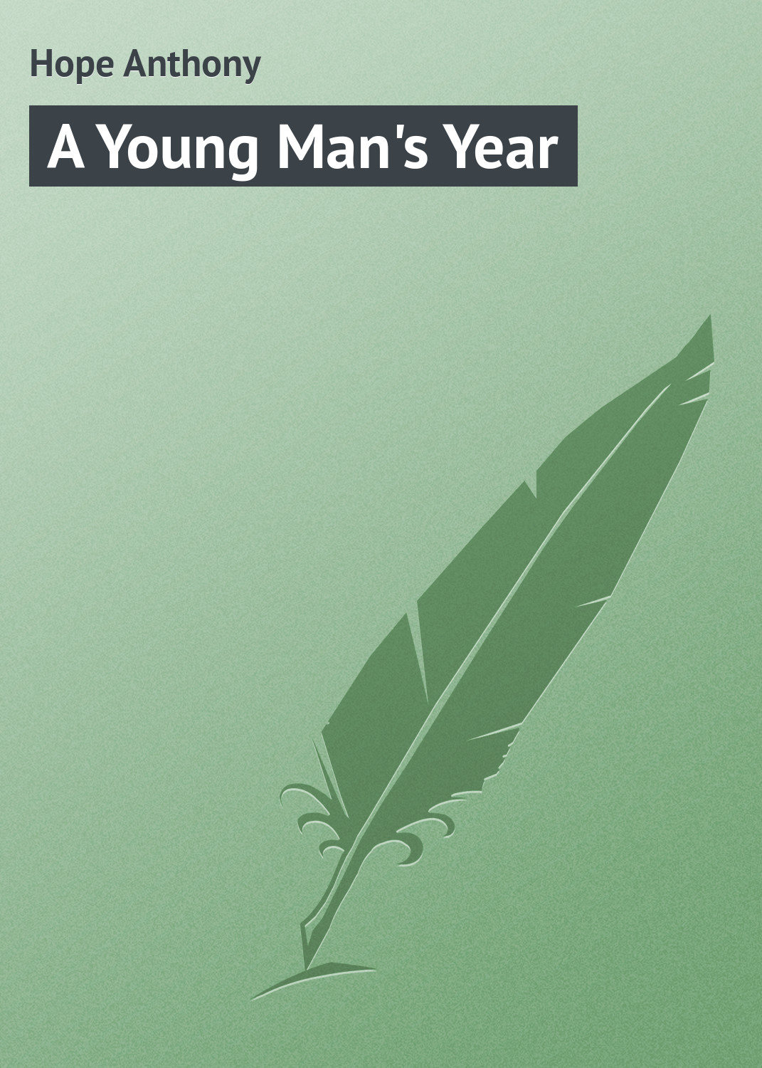 Обложка книги «A Young Man's Year»