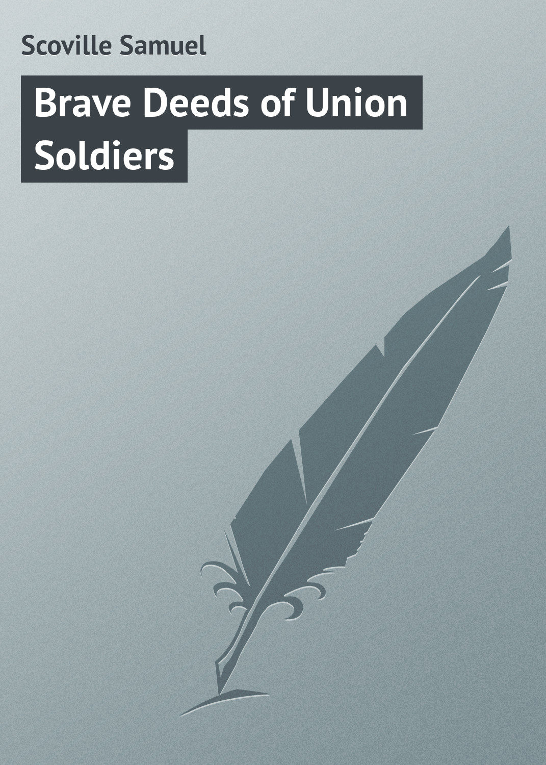 Обложка книги «Brave Deeds of Union Soldiers»