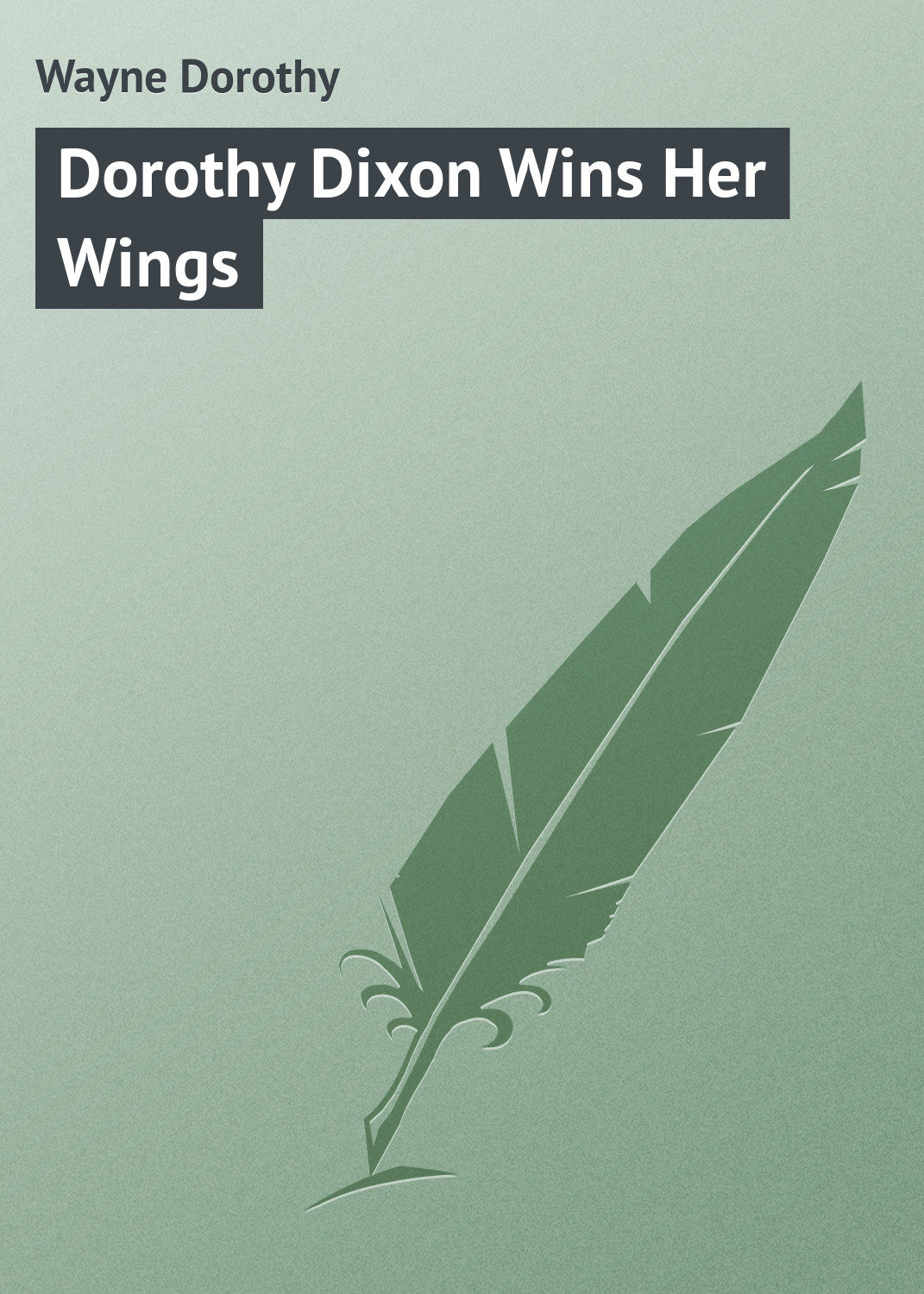 Обложка книги «Dorothy Dixon Wins Her Wings»
