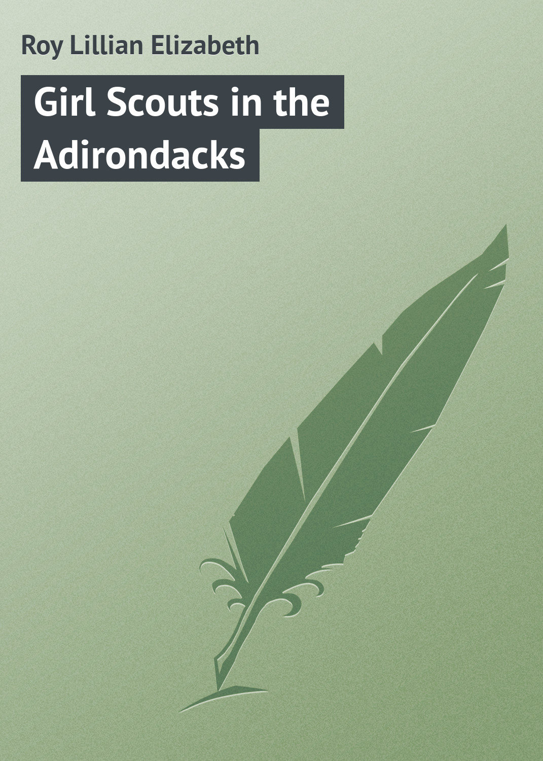 Обложка книги «Girl Scouts in the Adirondacks»