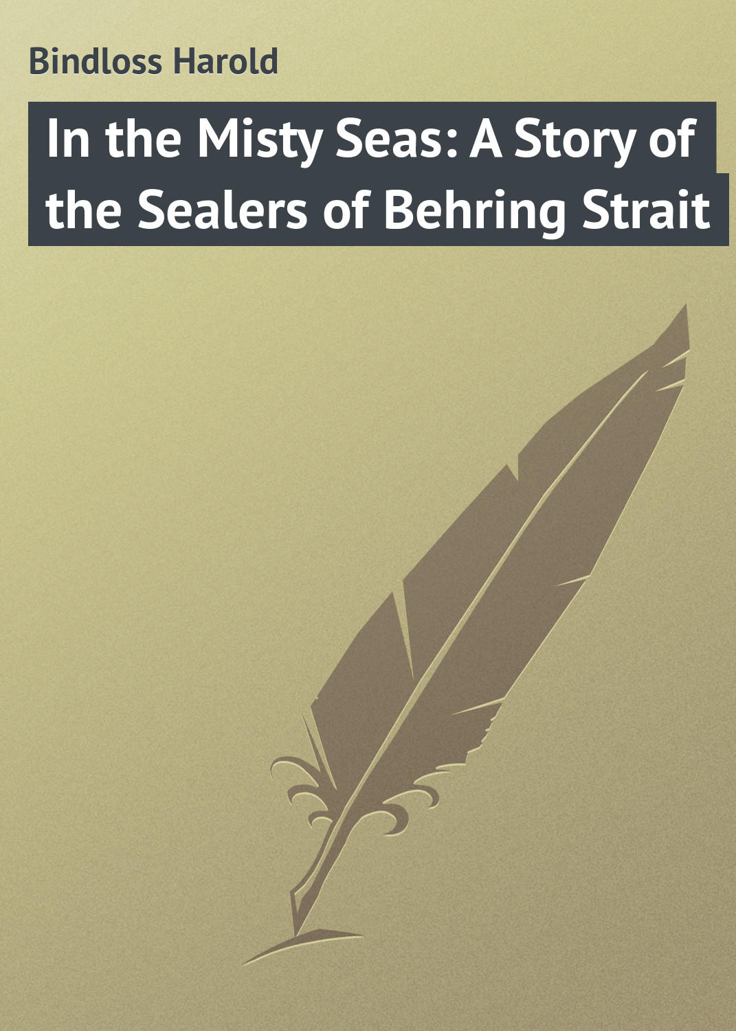 Обложка книги «In the Misty Seas: A Story of the Sealers of Behring Strait»