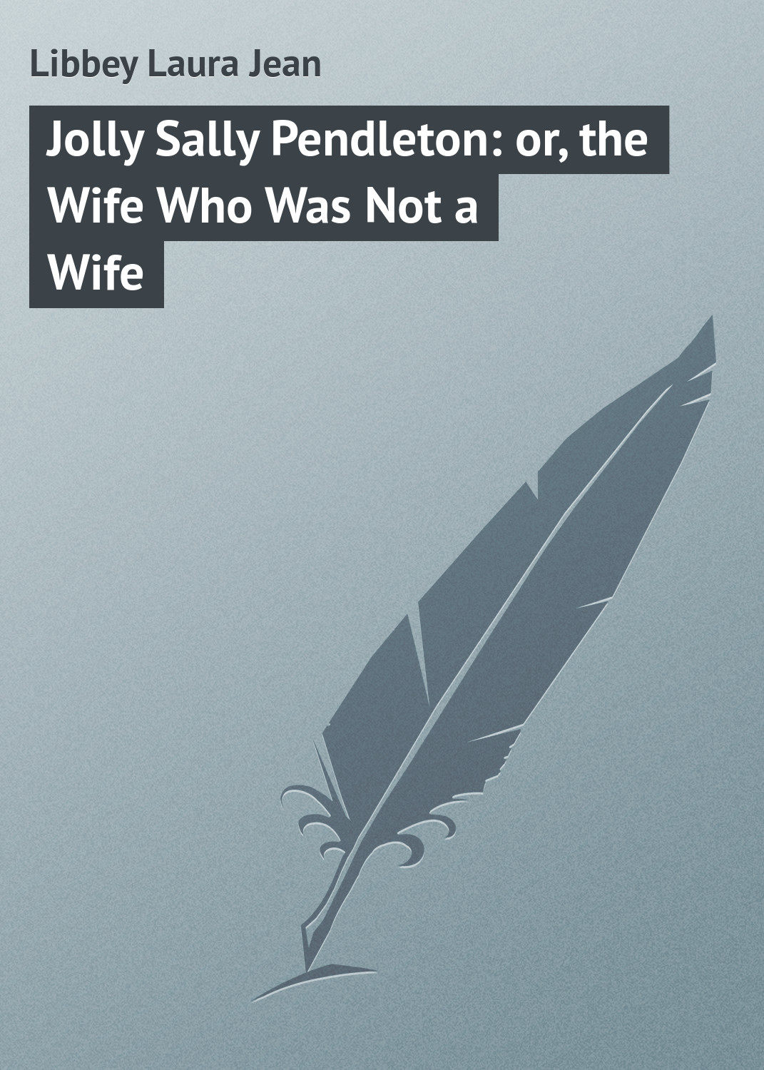 Обложка книги «Jolly Sally Pendleton: or, the Wife Who Was Not a Wife»