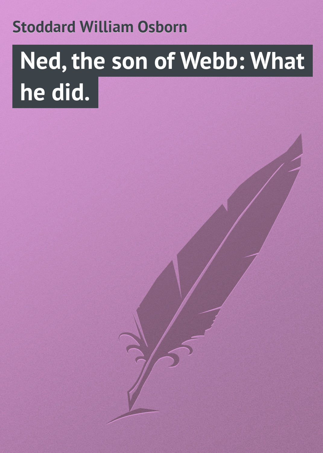 Обложка книги «Ned, the son of Webb: What he did.»