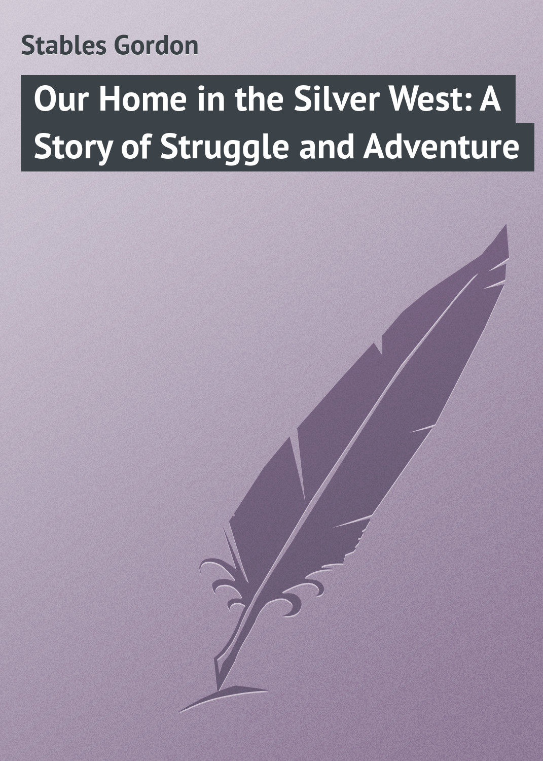 Обложка книги «Our Home in the Silver West: A Story of Struggle and Adventure»