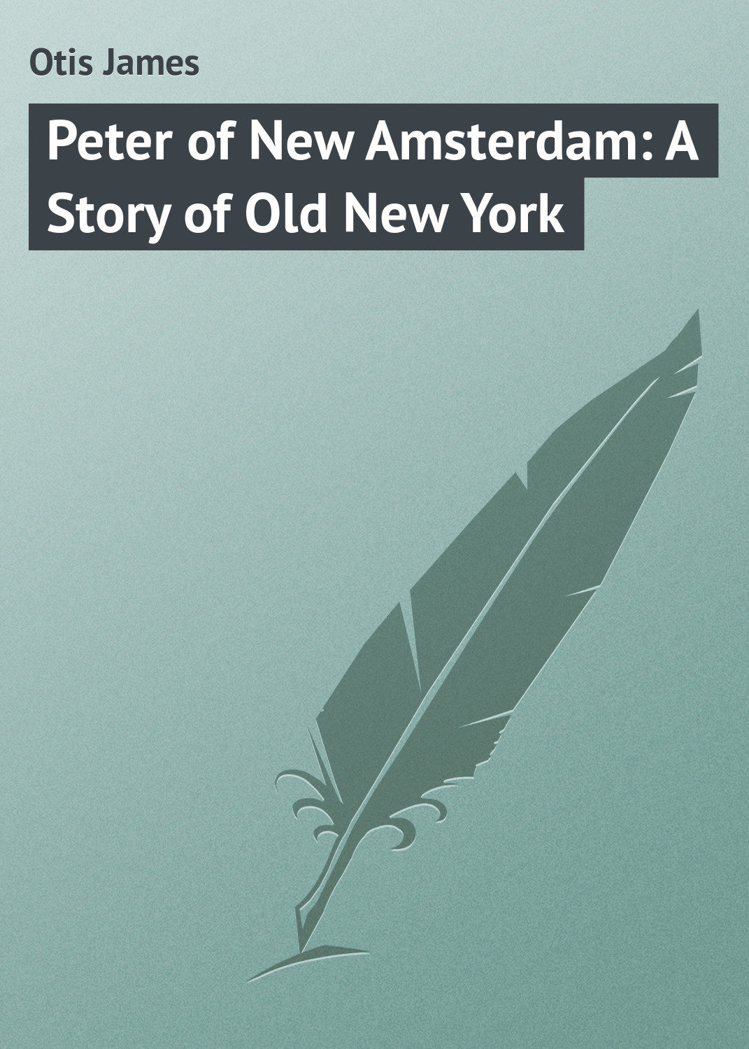 Обложка книги «Peter of New Amsterdam: A Story of Old New York»