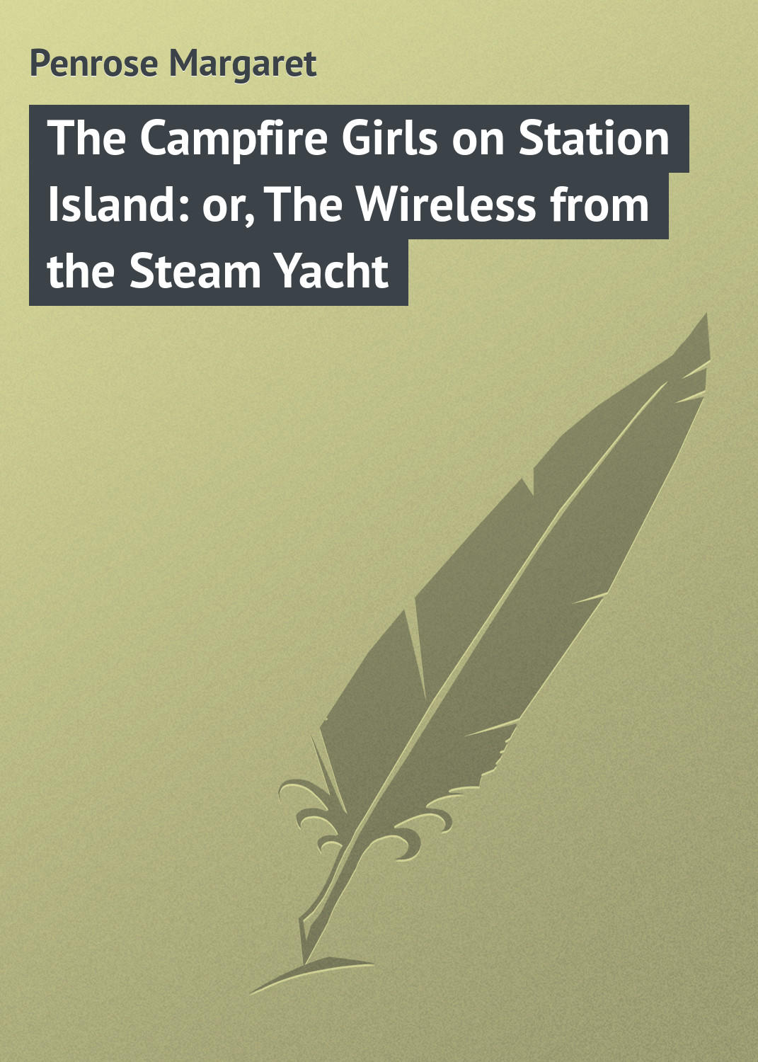 Обложка книги «The Campfire Girls on Station Island: or, The Wireless from the Steam Yacht»