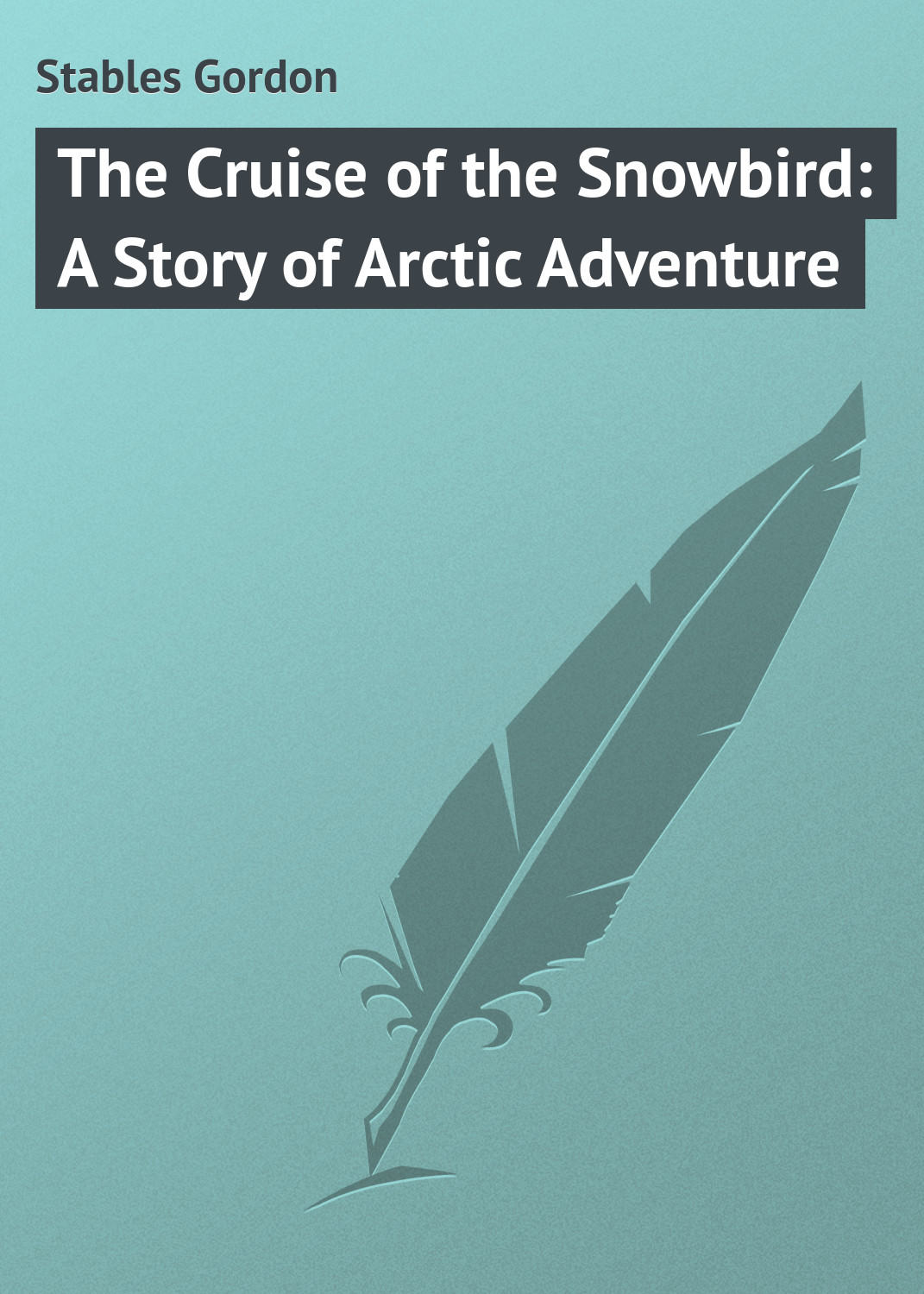 Обложка книги «The Cruise of the Snowbird: A Story of Arctic Adventure»