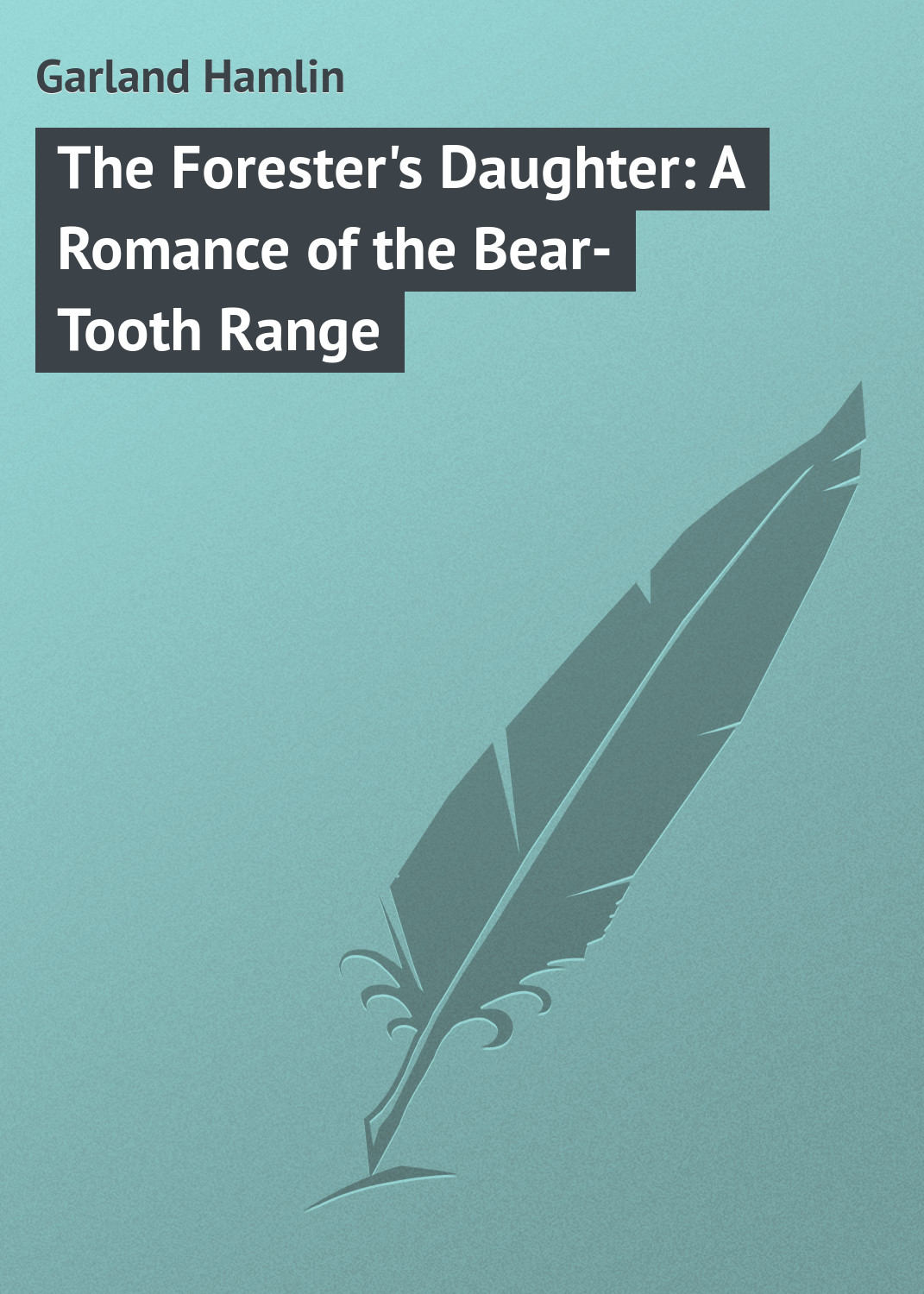 Обложка книги «The Forester's Daughter: A Romance of the Bear-Tooth Range»