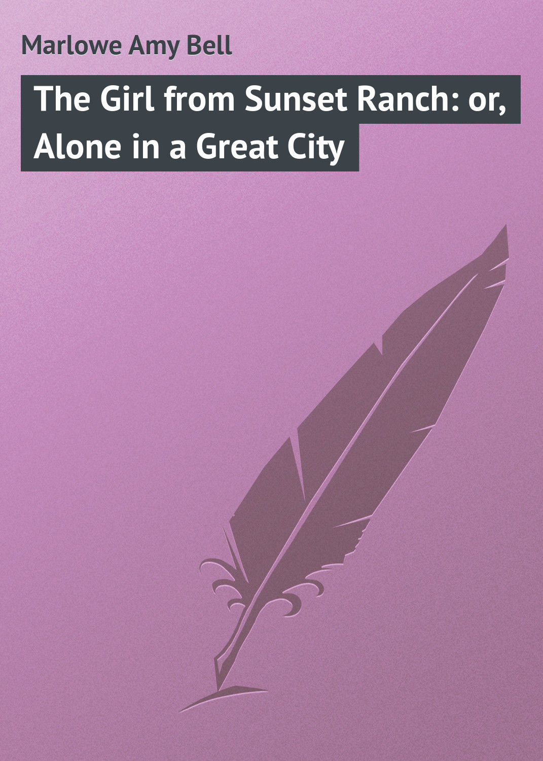 Обложка книги «The Girl from Sunset Ranch: or, Alone in a Great City»
