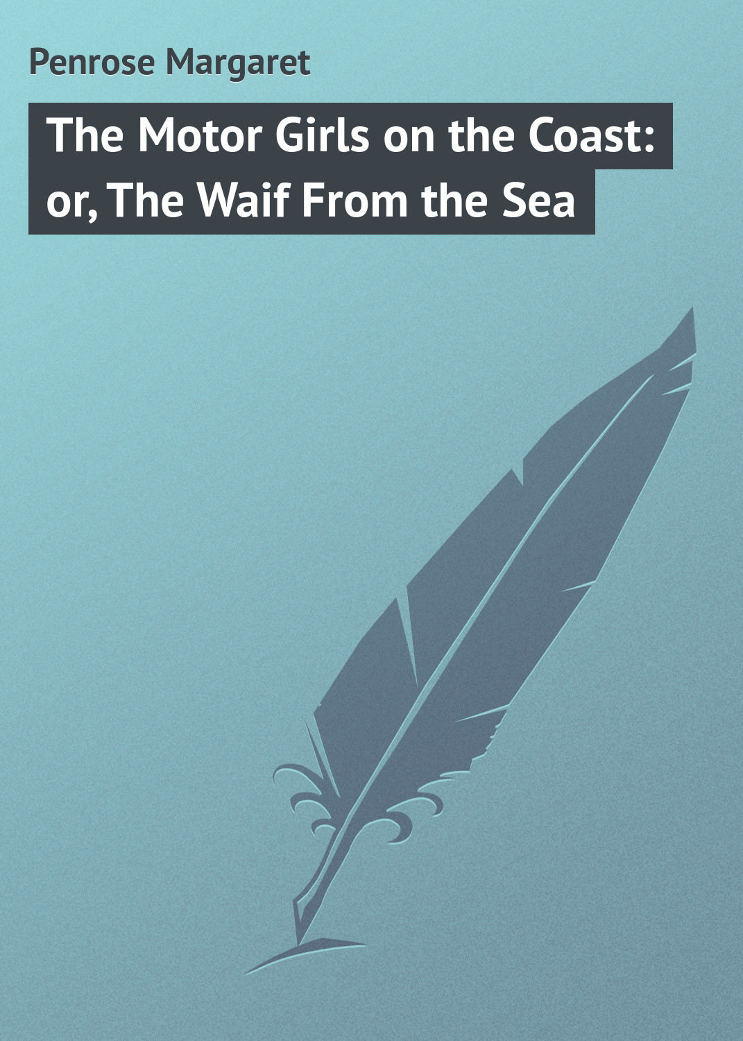 Обложка книги «The Motor Girls on the Coast: or, The Waif From the Sea»
