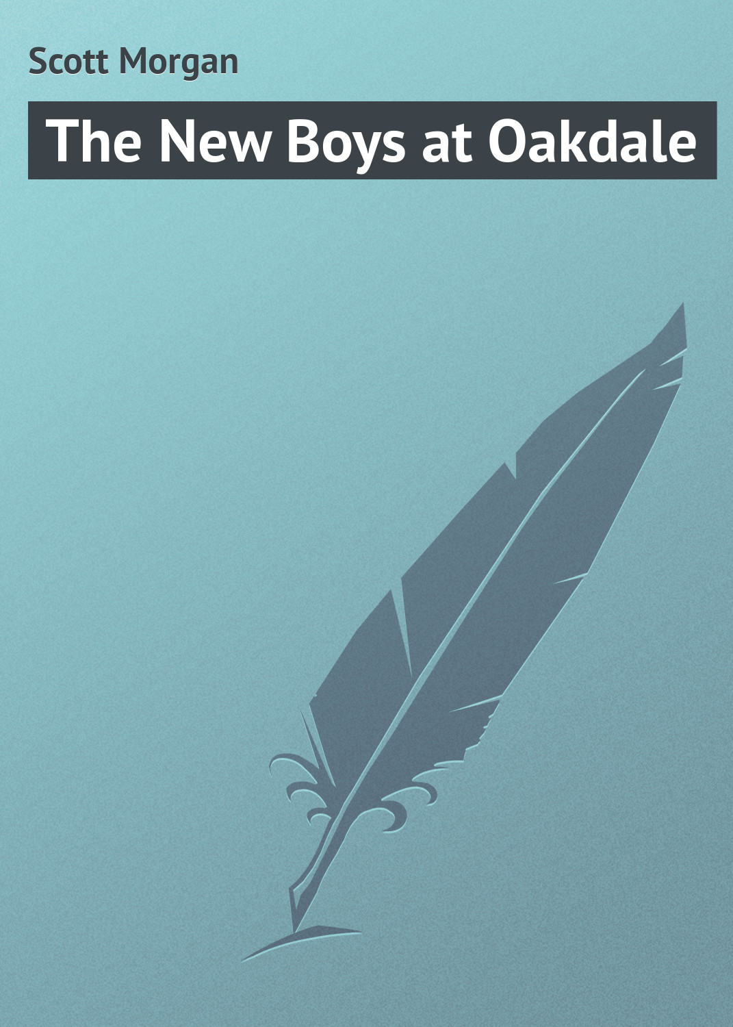 Обложка книги «The New Boys at Oakdale»