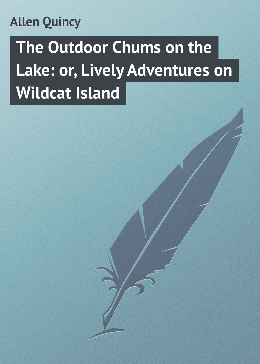 Обложка книги «The Outdoor Chums on the Lake: or, Lively Adventures on Wildcat Island»