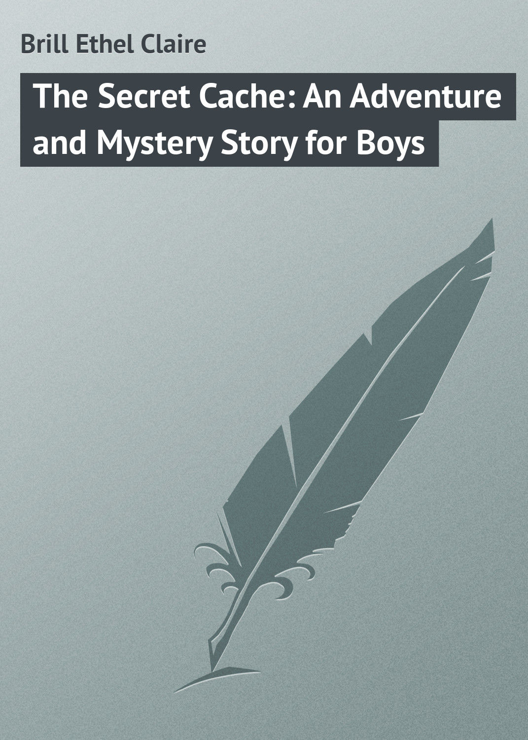 Обложка книги «The Secret Cache: An Adventure and Mystery Story for Boys»