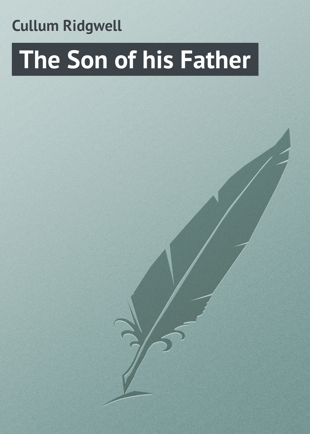 Обложка книги «The Son of his Father»
