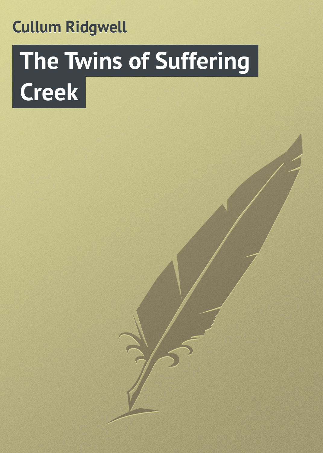 Обложка книги «The Twins of Suffering Creek»