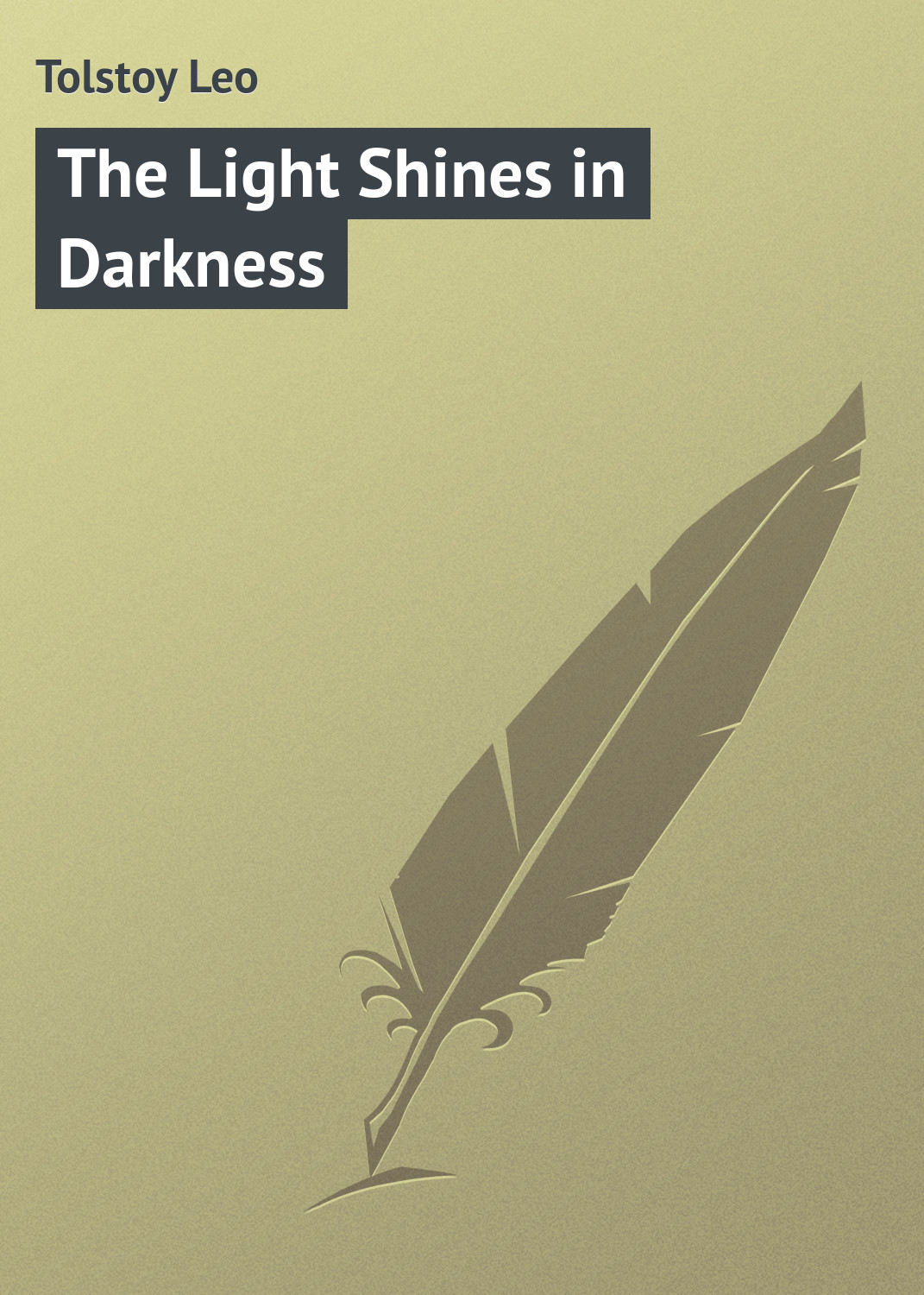 Обложка книги «The Light Shines in Darkness»