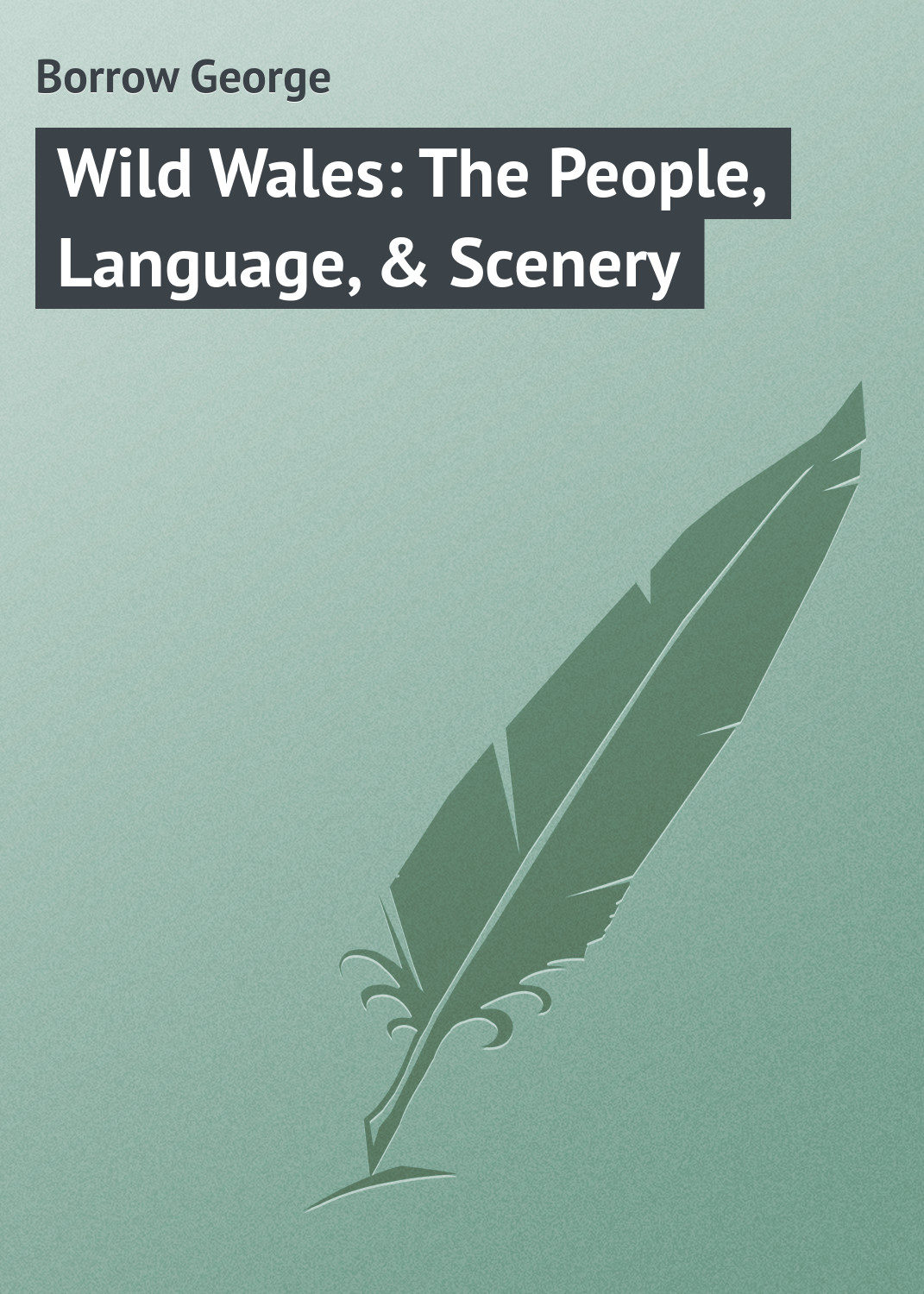 Обложка книги «Wild Wales: The People, Language, & Scenery»