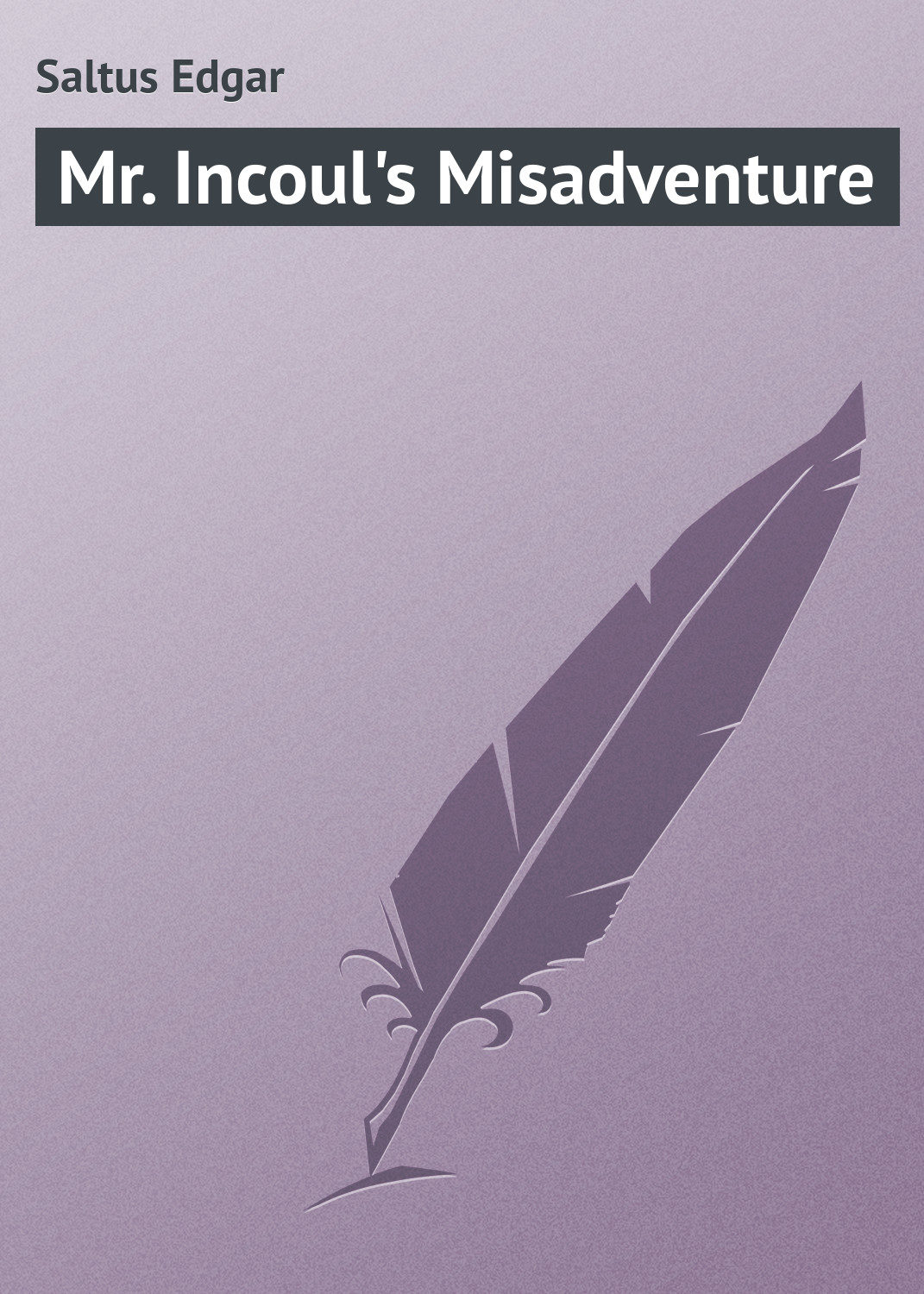 Обложка книги «Mr. Incoul's Misadventure»