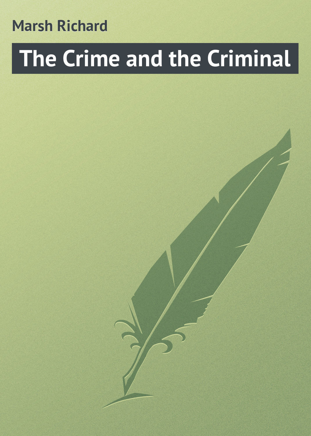 Обложка книги «The Crime and the Criminal»