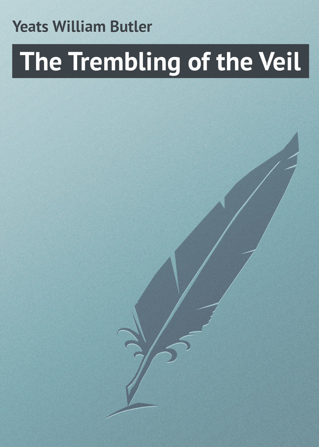 Обложка книги «The Trembling of the Veil»
