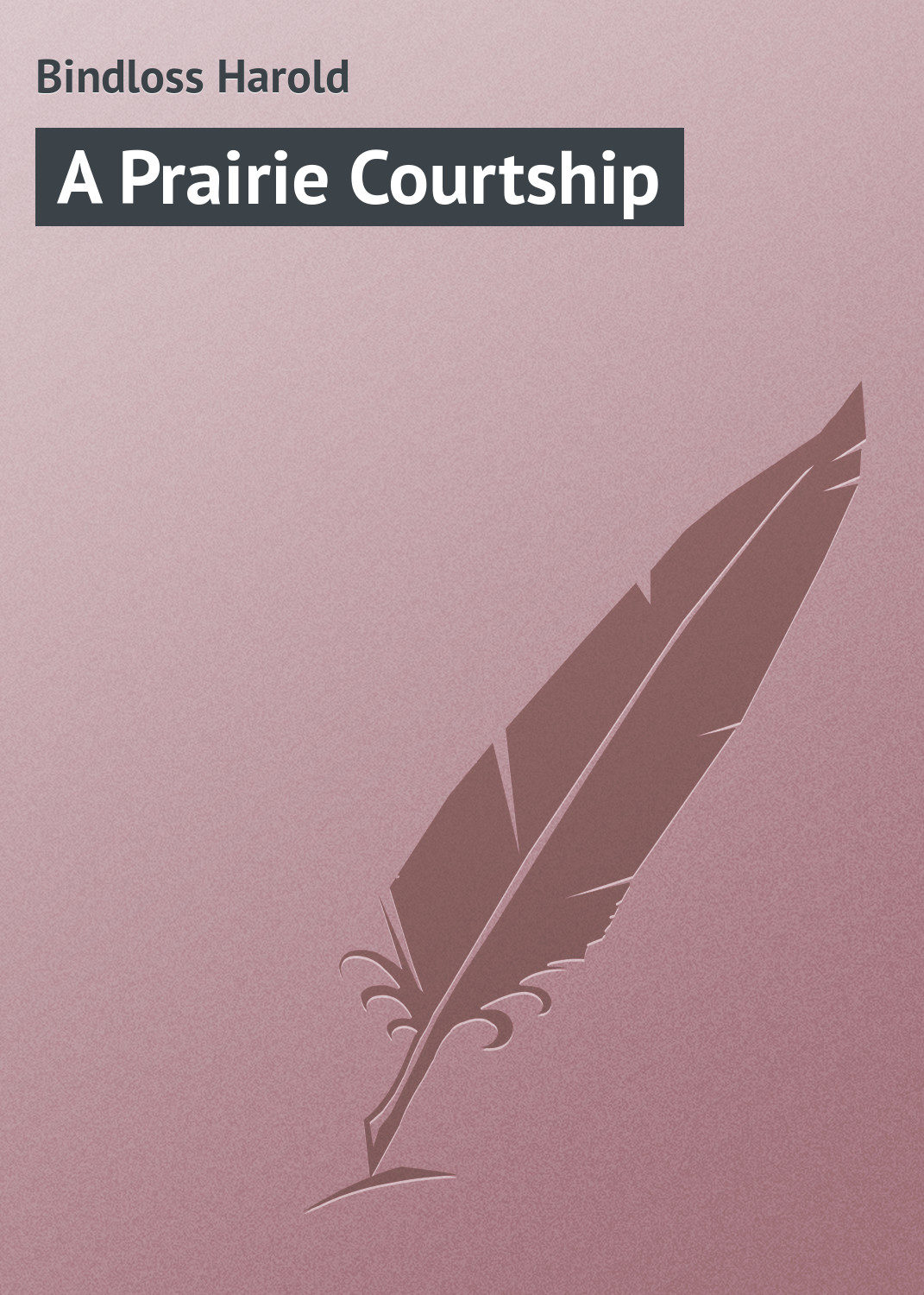 Обложка книги «A Prairie Courtship»