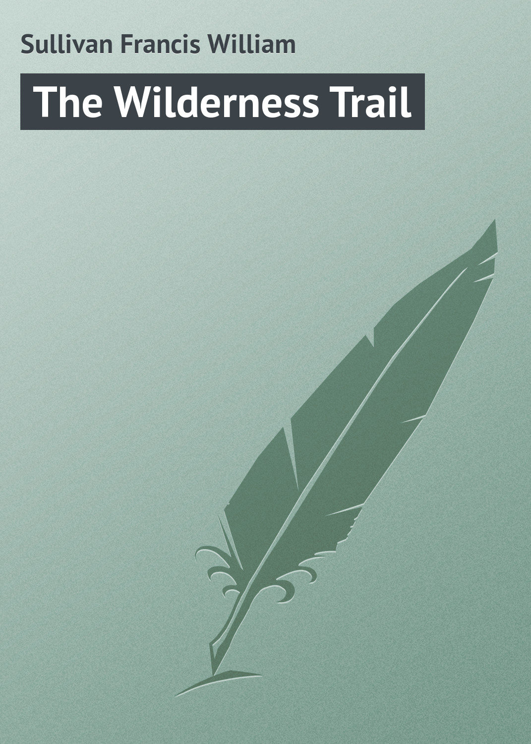 Обложка книги «The Wilderness Trail»